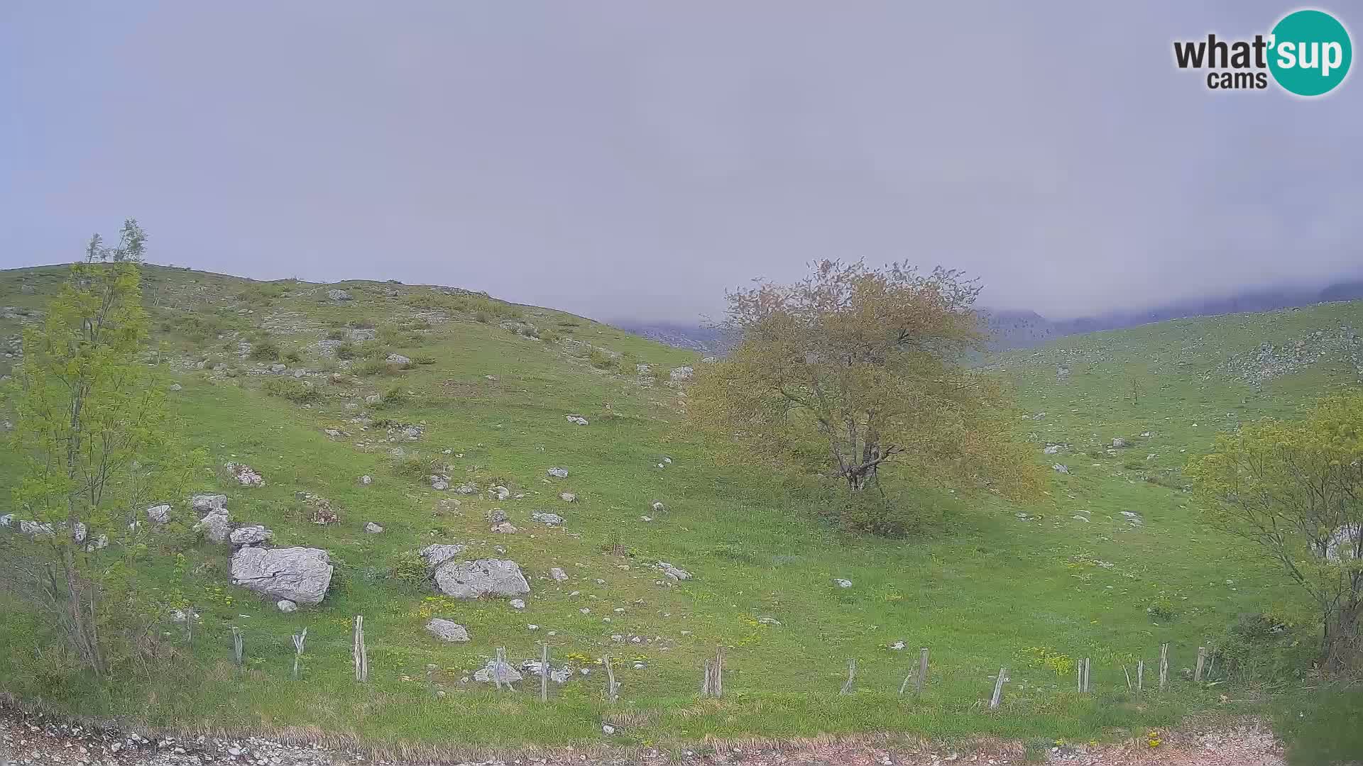 Live cam Planina Kuhinja – Monte Nero ( Krn ) – Caporetto – Slovenia