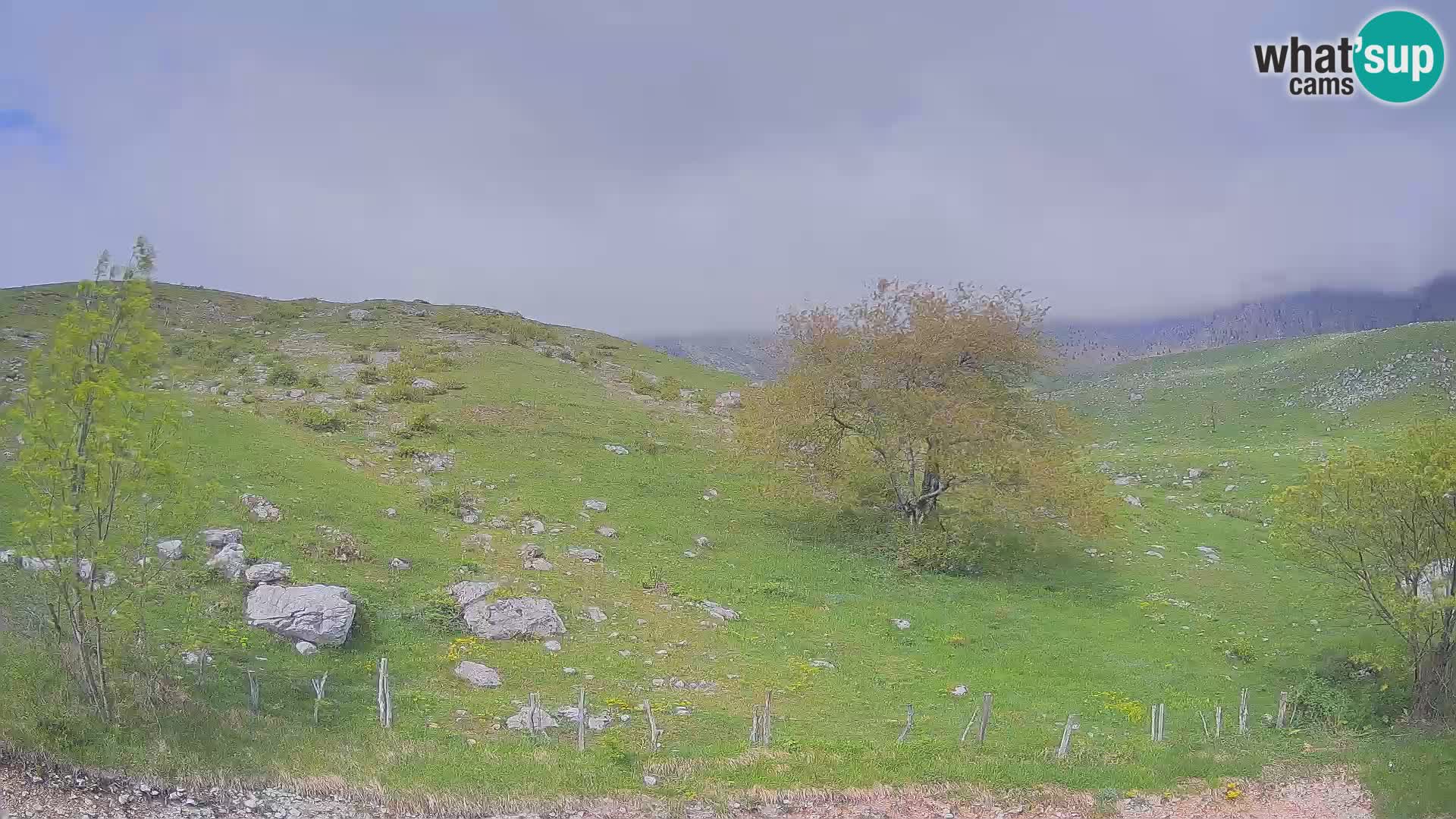 Cámara en Vivo de Planina Kuhinja – KRN – Kobarid – Eslovenia