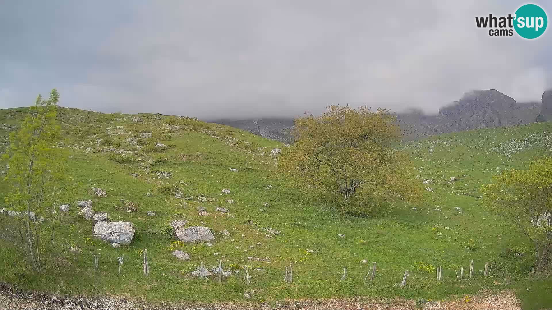 Live cam Planina Kuhinja – Monte Nero ( Krn ) – Caporetto – Slovenia