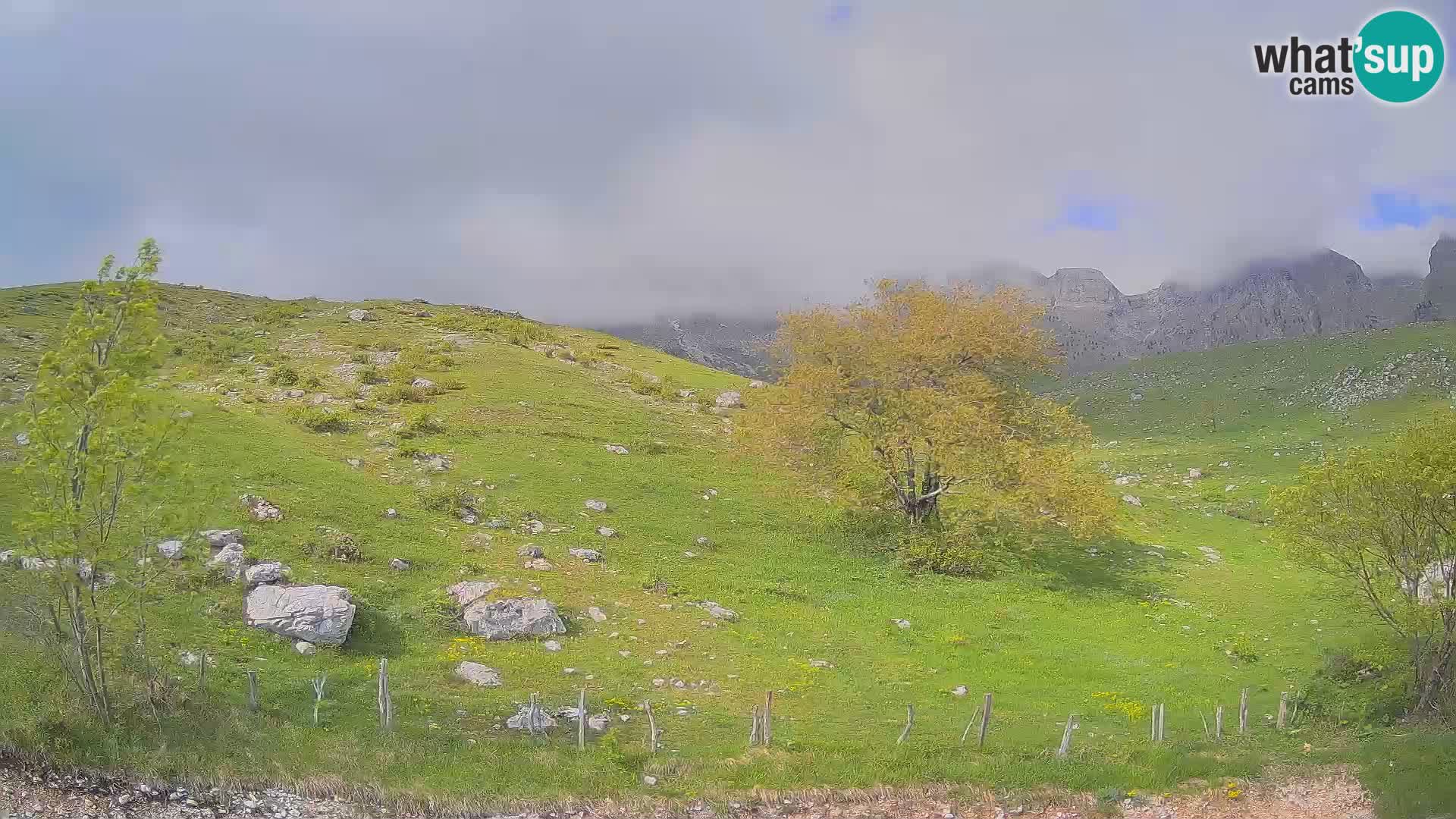 Spletna kamera Planina Kuhinja – KRN – Kobarid