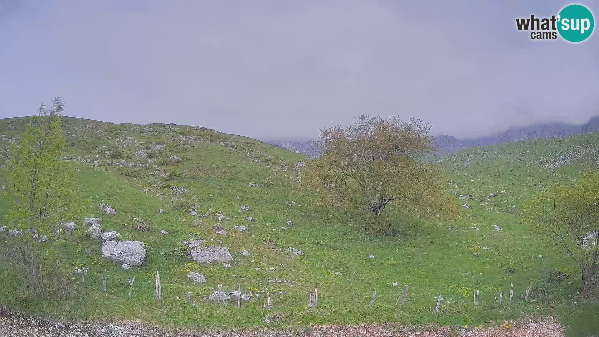 Webcam Planina Kuhinja – KRN – Kobarid – Slowenien