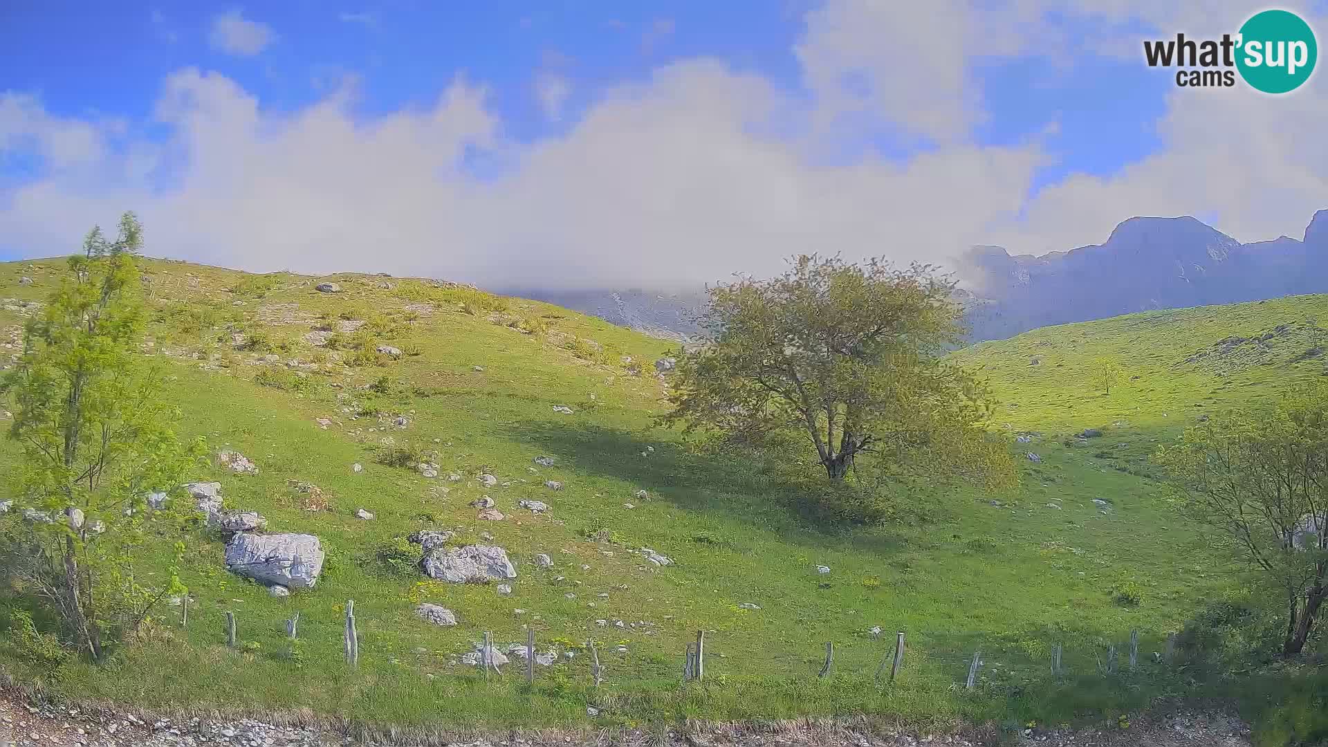 Spletna kamera Planina Kuhinja – KRN – Kobarid