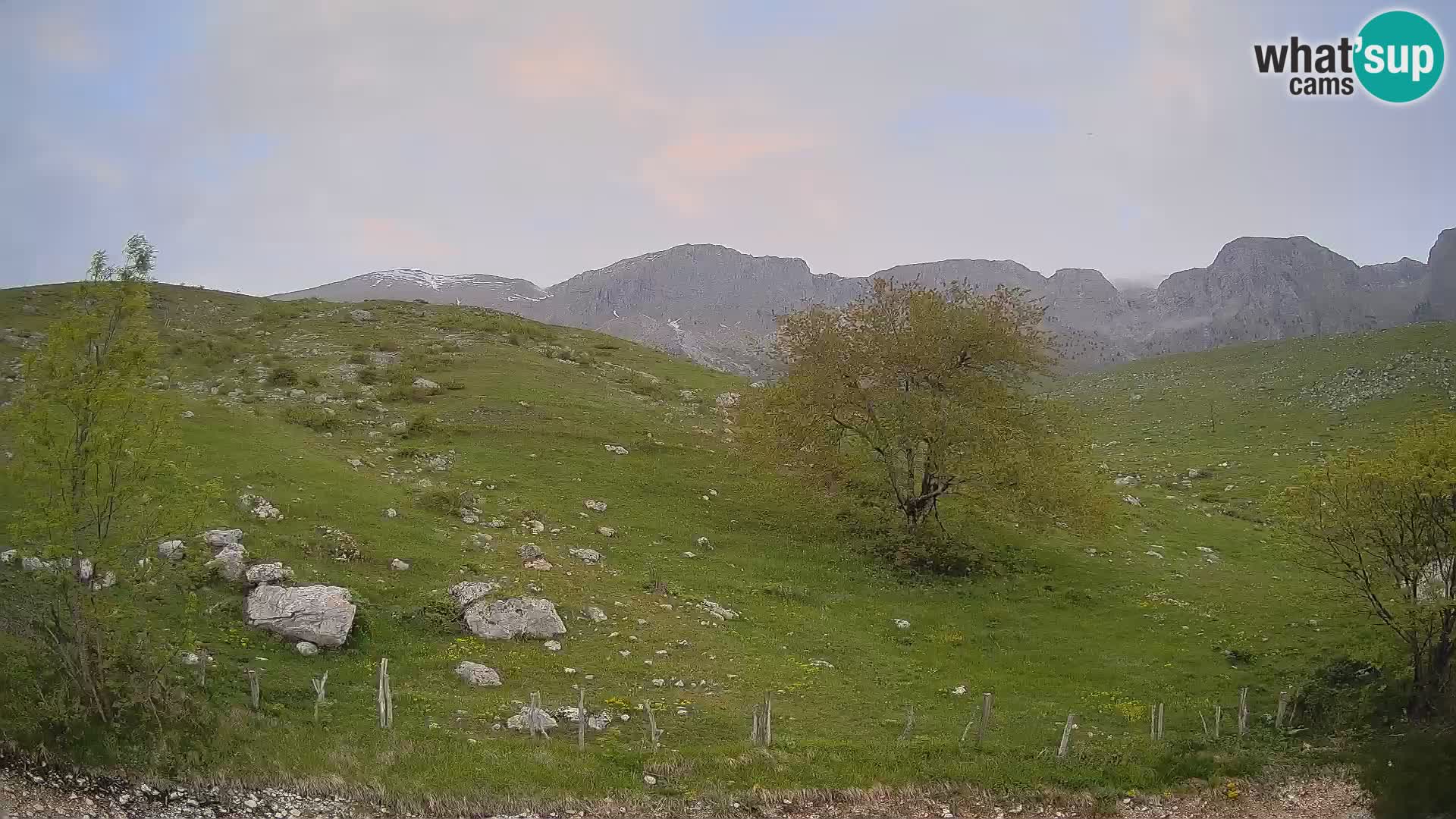 Cámara en Vivo de Planina Kuhinja – KRN – Kobarid – Eslovenia