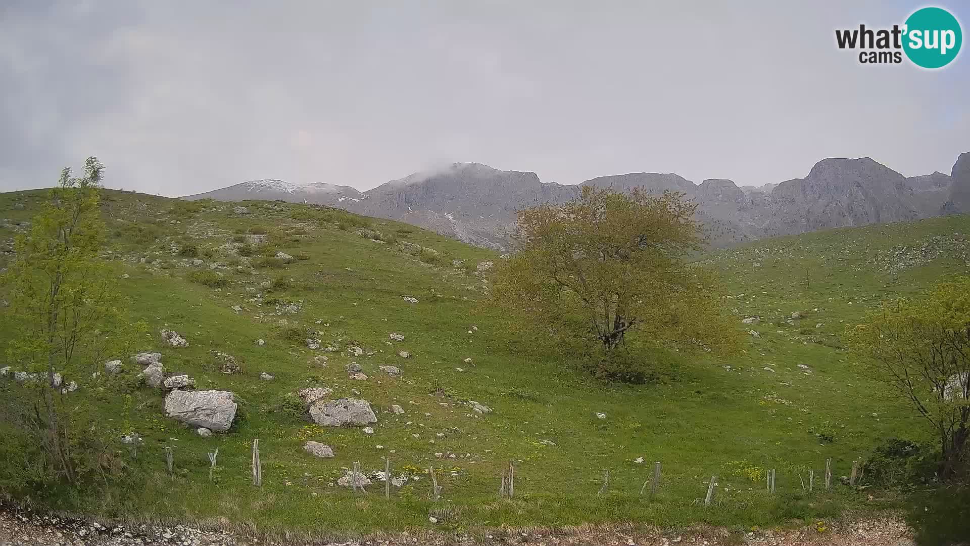 Livecam Planina Kuhinja – KRN- Kobarid – Slovénie