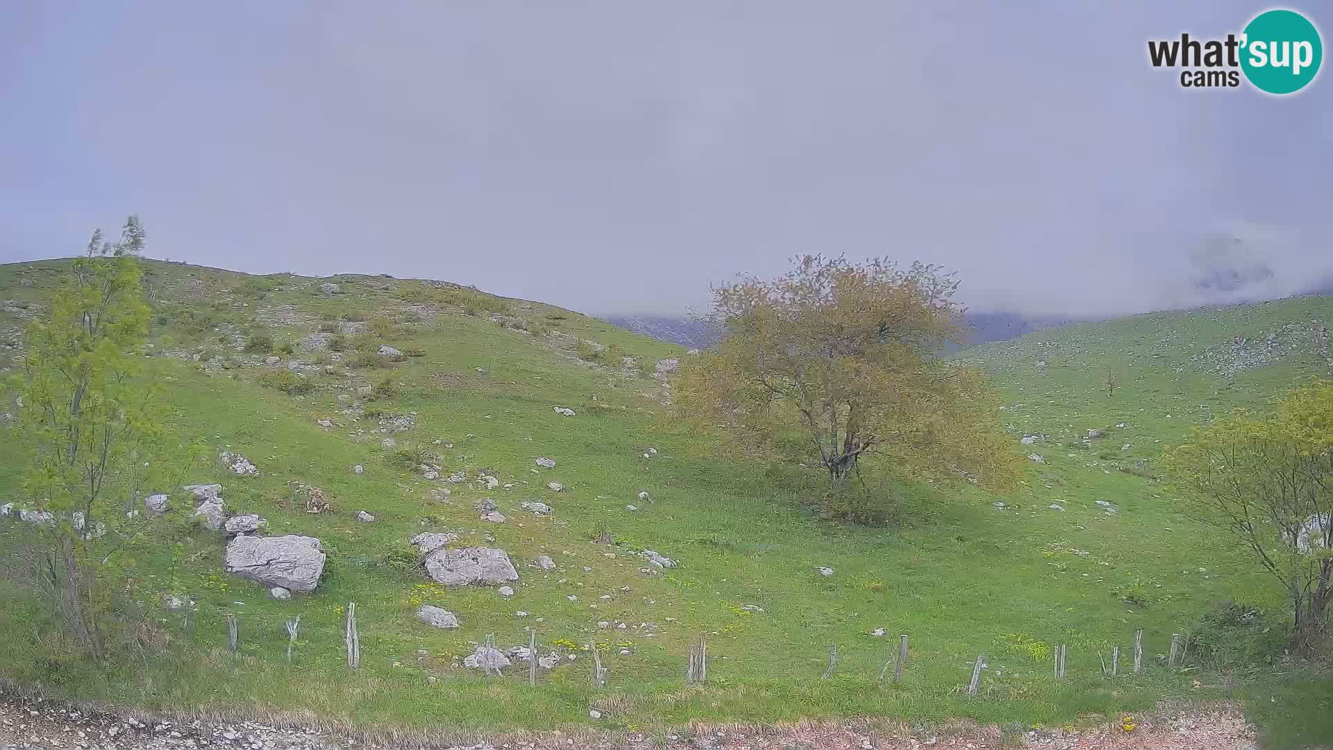 Webcam Krn – Planina Kuhinja ( Plateau Kuhinja ) – Kobarid – Slovenia