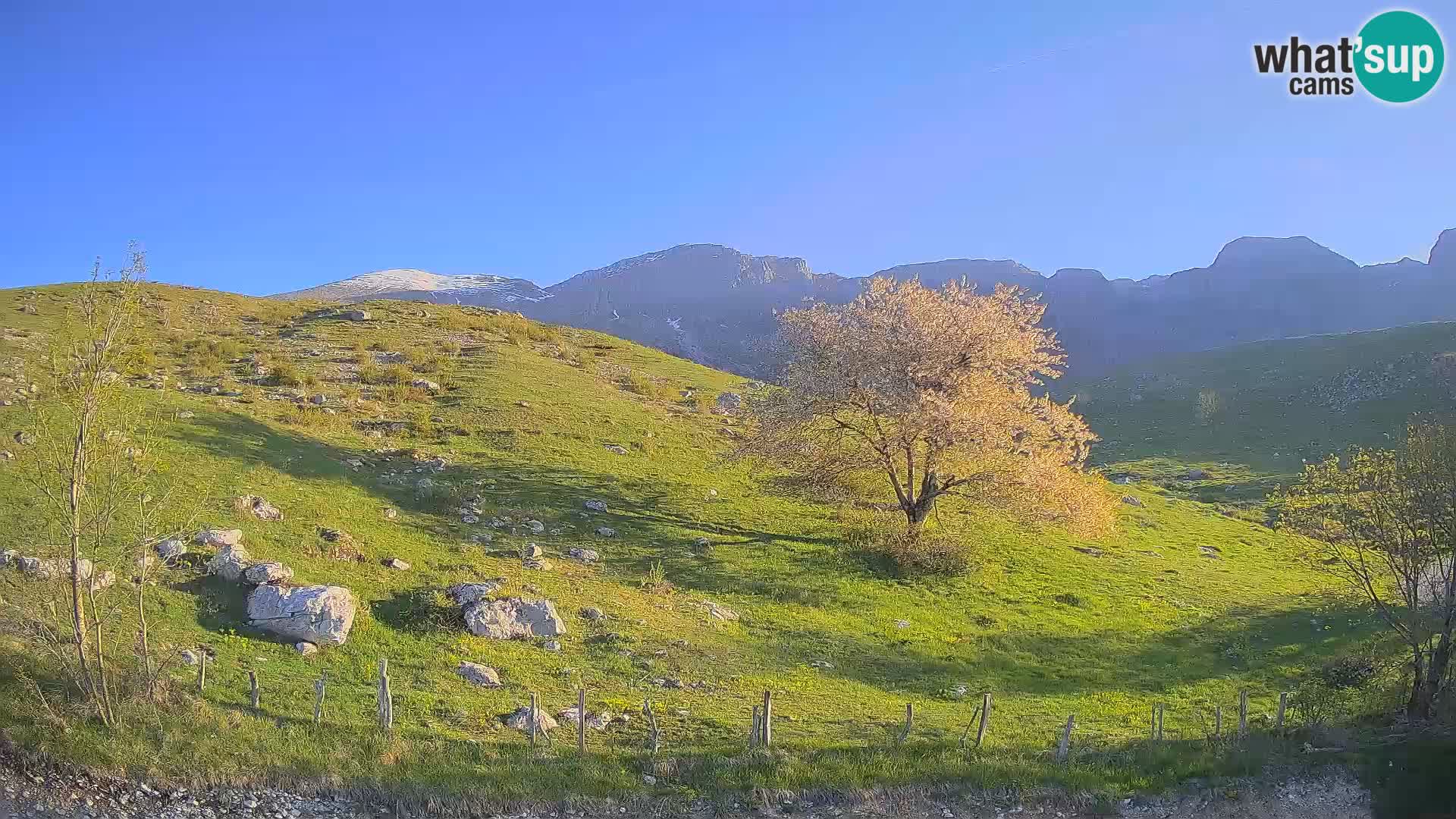 Livecam Planina Kuhinja – KRN- Kobarid – Slovénie