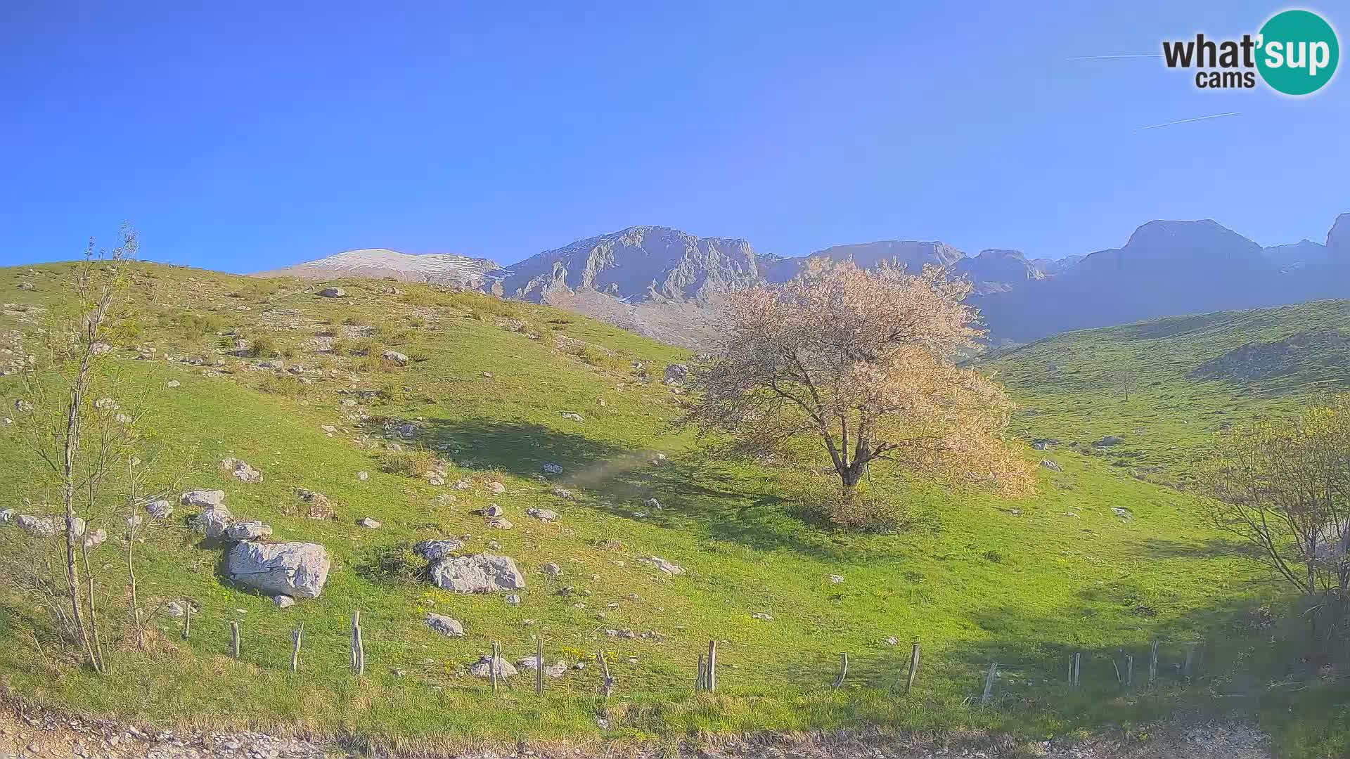 Spletna kamera Planina Kuhinja – KRN – Kobarid