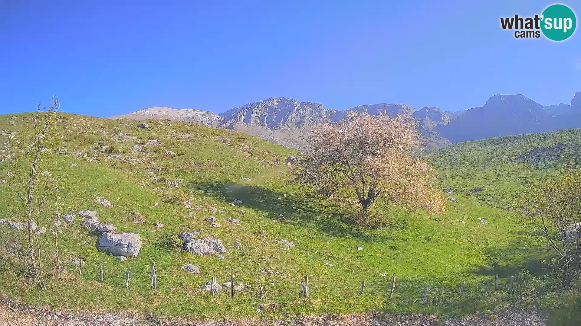 Webcam Krn – Planina Kuhinja ( Plateau Kuhinja ) – Kobarid – Slovenia