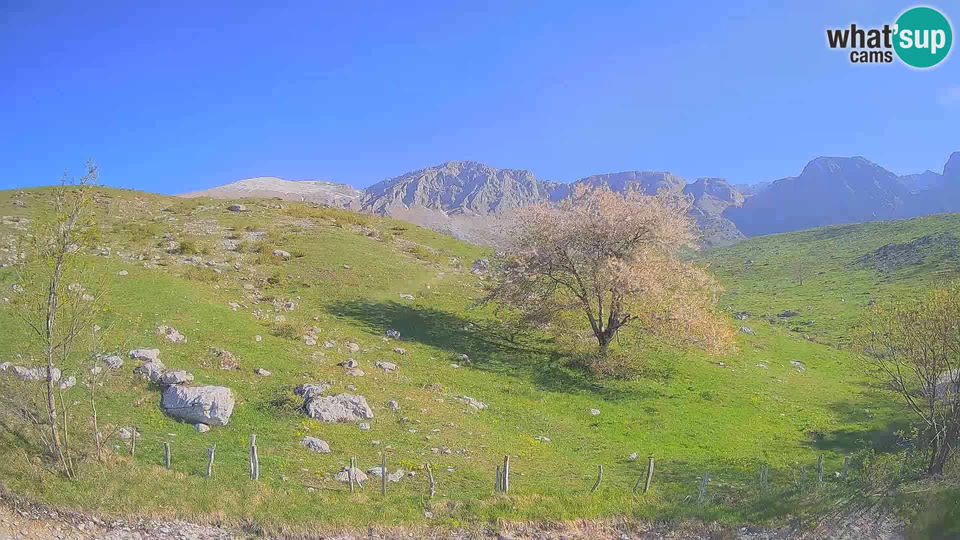 Spletna kamera Planina Kuhinja – KRN – Kobarid