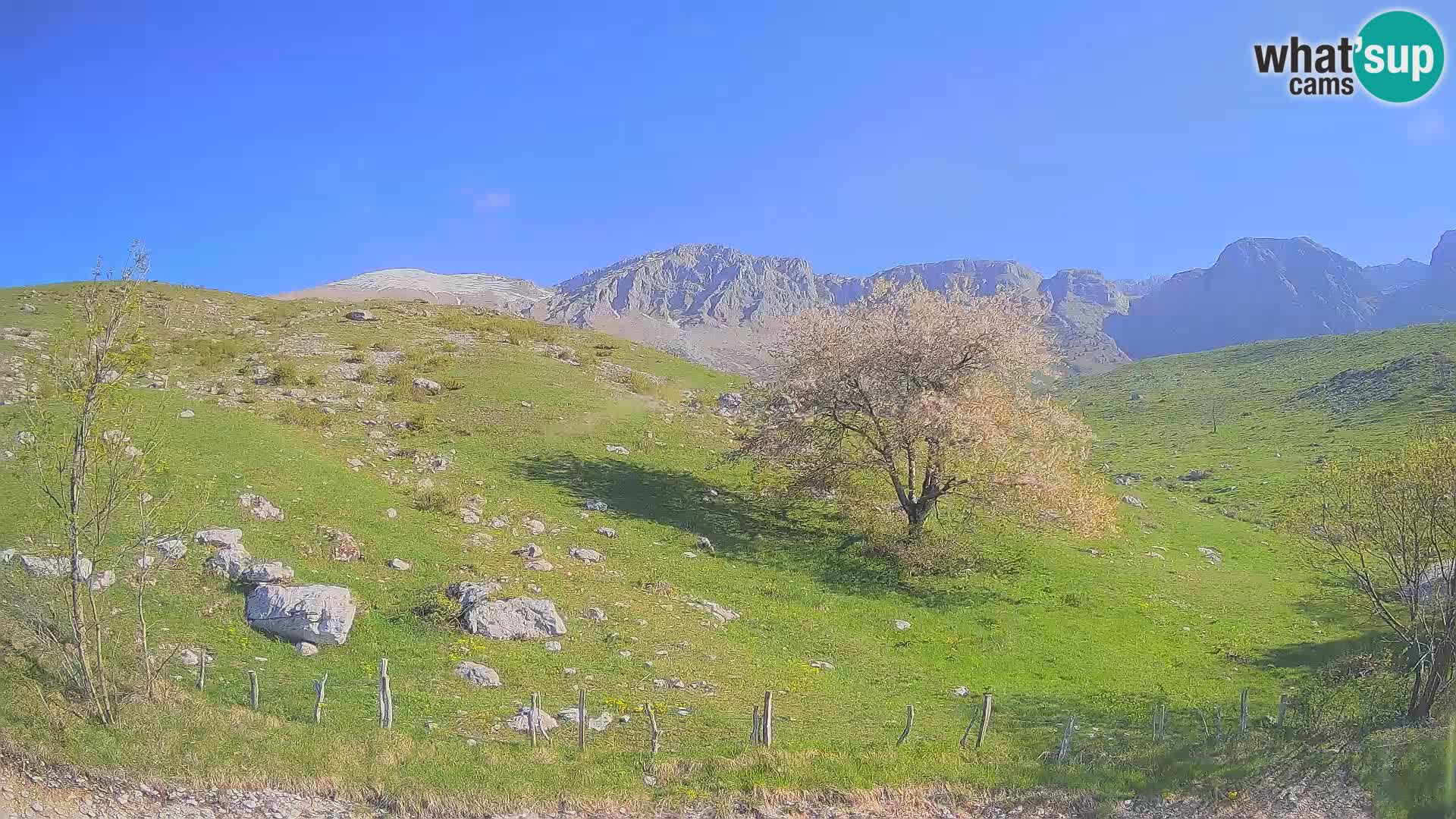 Webcam Krn – Planina Kuhinja ( Plateau Kuhinja ) – Kobarid – Slovenia