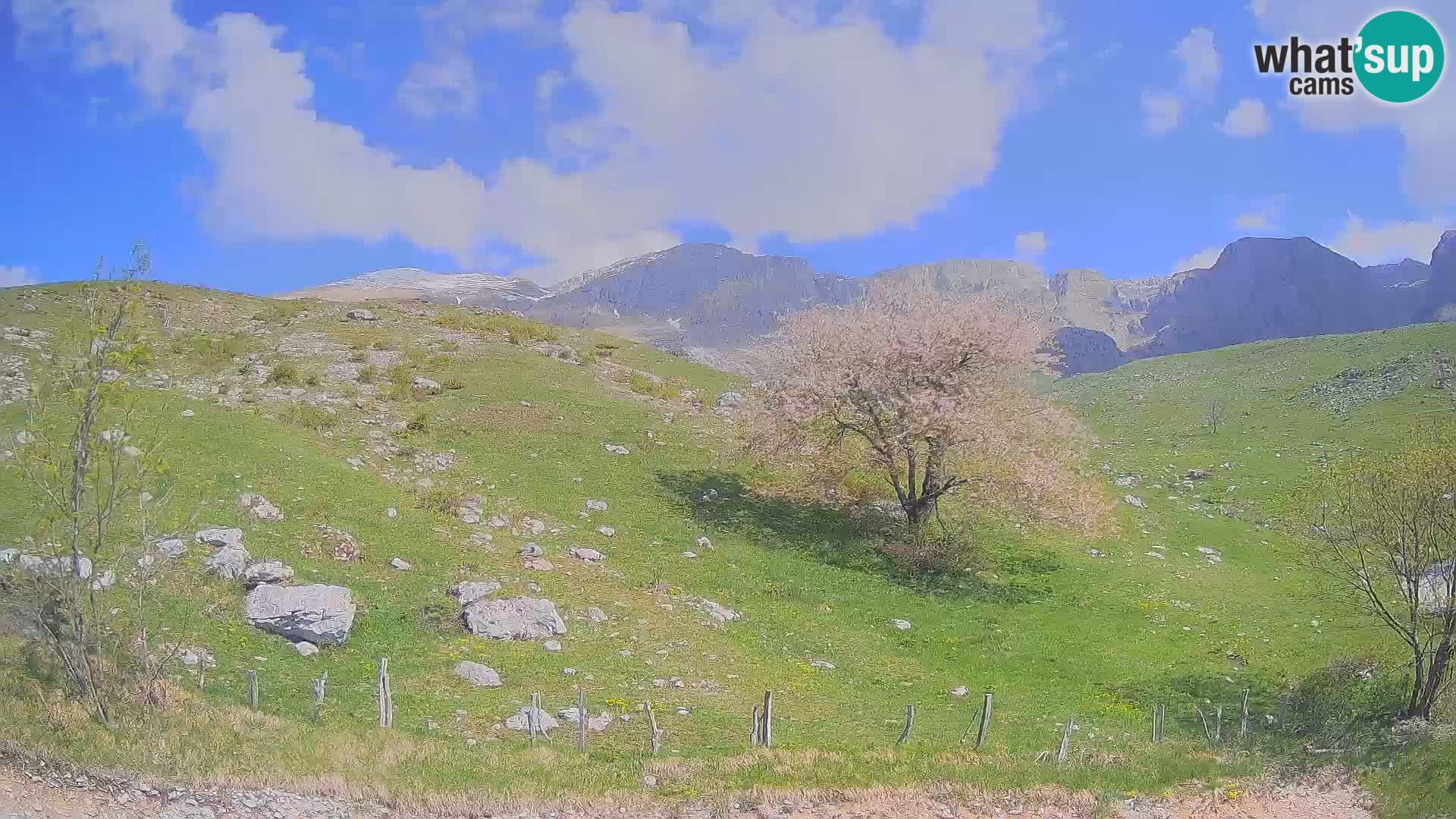 Spletna kamera Planina Kuhinja – KRN – Kobarid