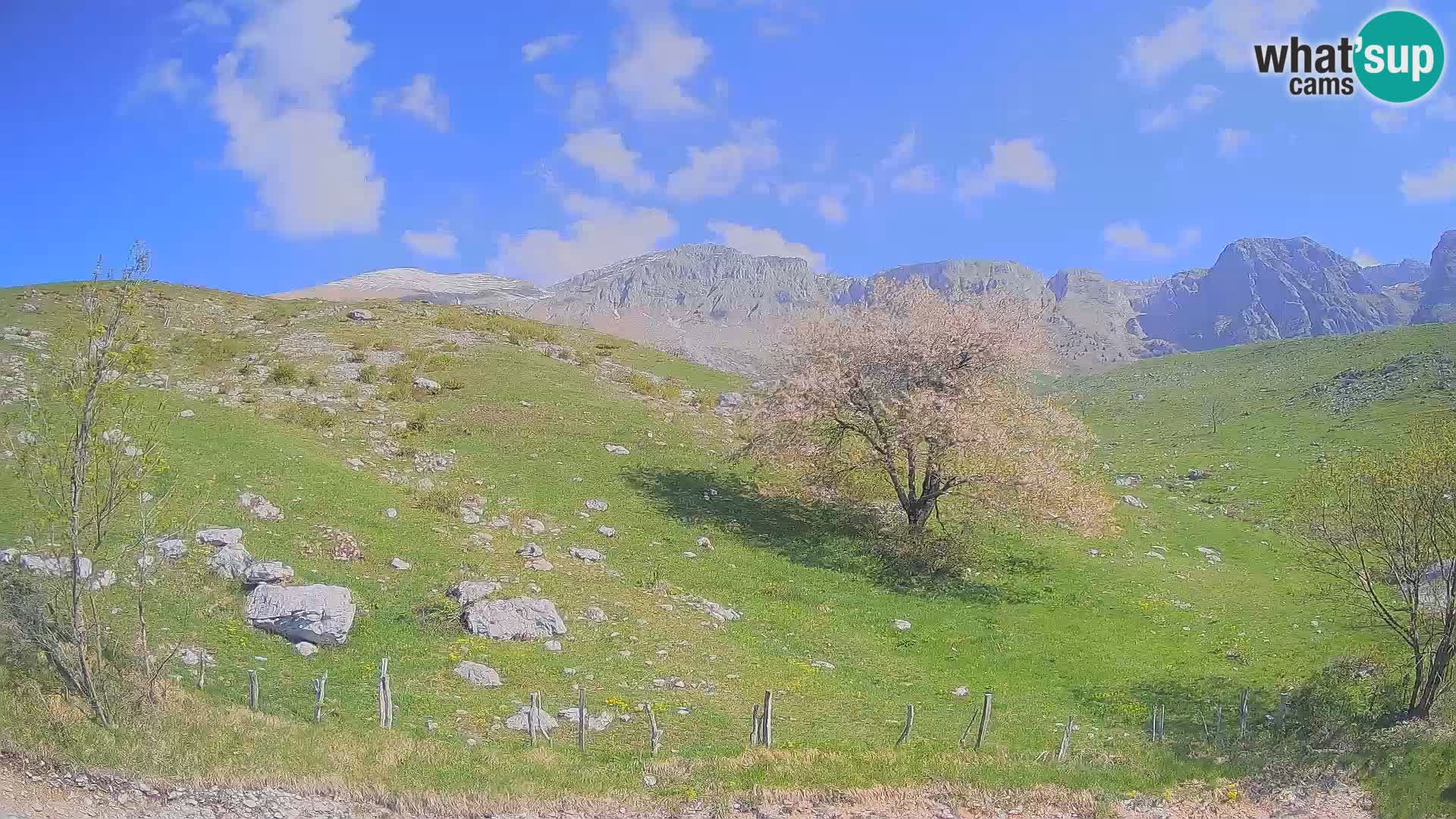 Webcam Krn – Planina Kuhinja ( Plateau Kuhinja ) – Kobarid – Slovenia