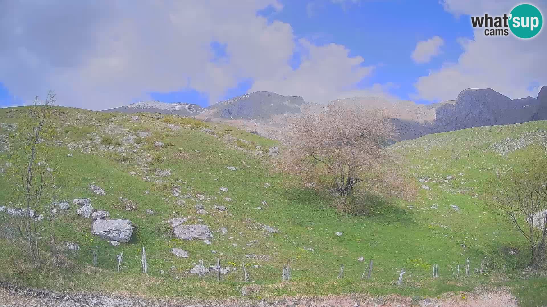 Webcam Planina Kuhinja – KRN – Kobarid – Slowenien
