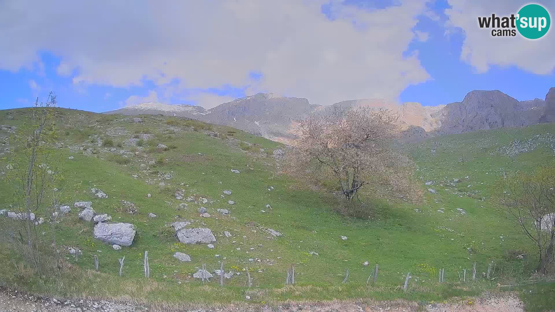 Webcam Krn – Planina Kuhinja ( Plateau Kuhinja ) – Kobarid – Slovenia
