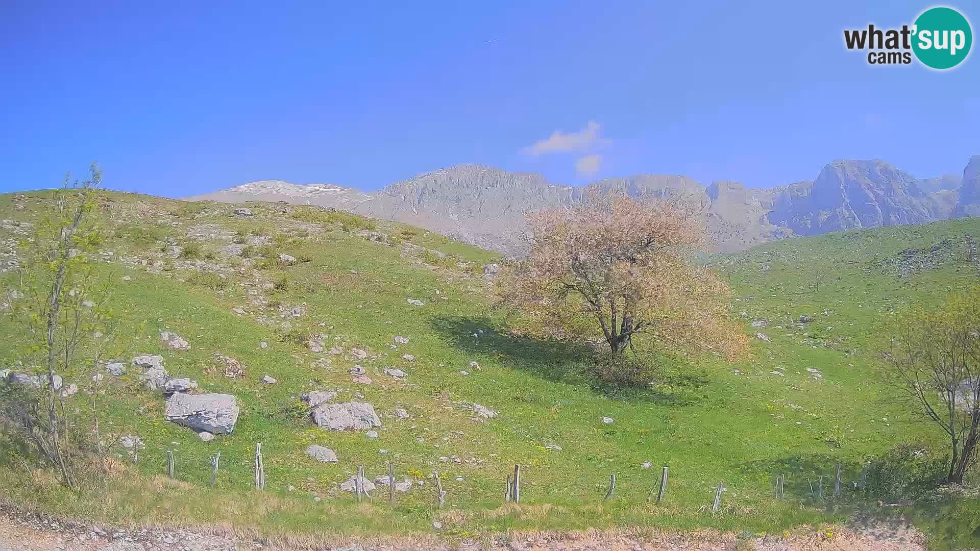 Live cam Planina Kuhinja – Monte Nero ( Krn ) – Caporetto – Slovenia