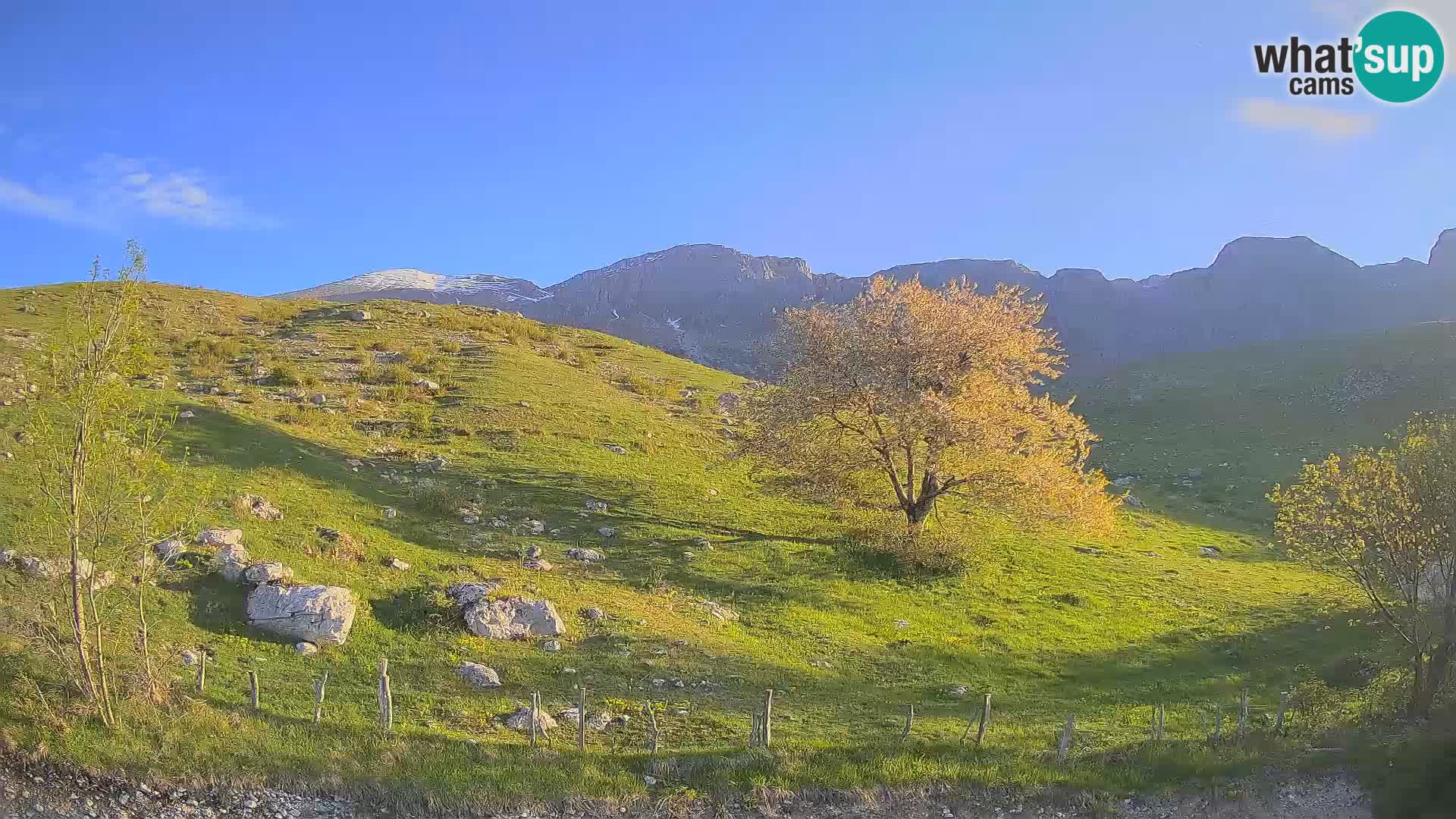Livecam Planina Kuhinja – KRN- Kobarid – Slovénie