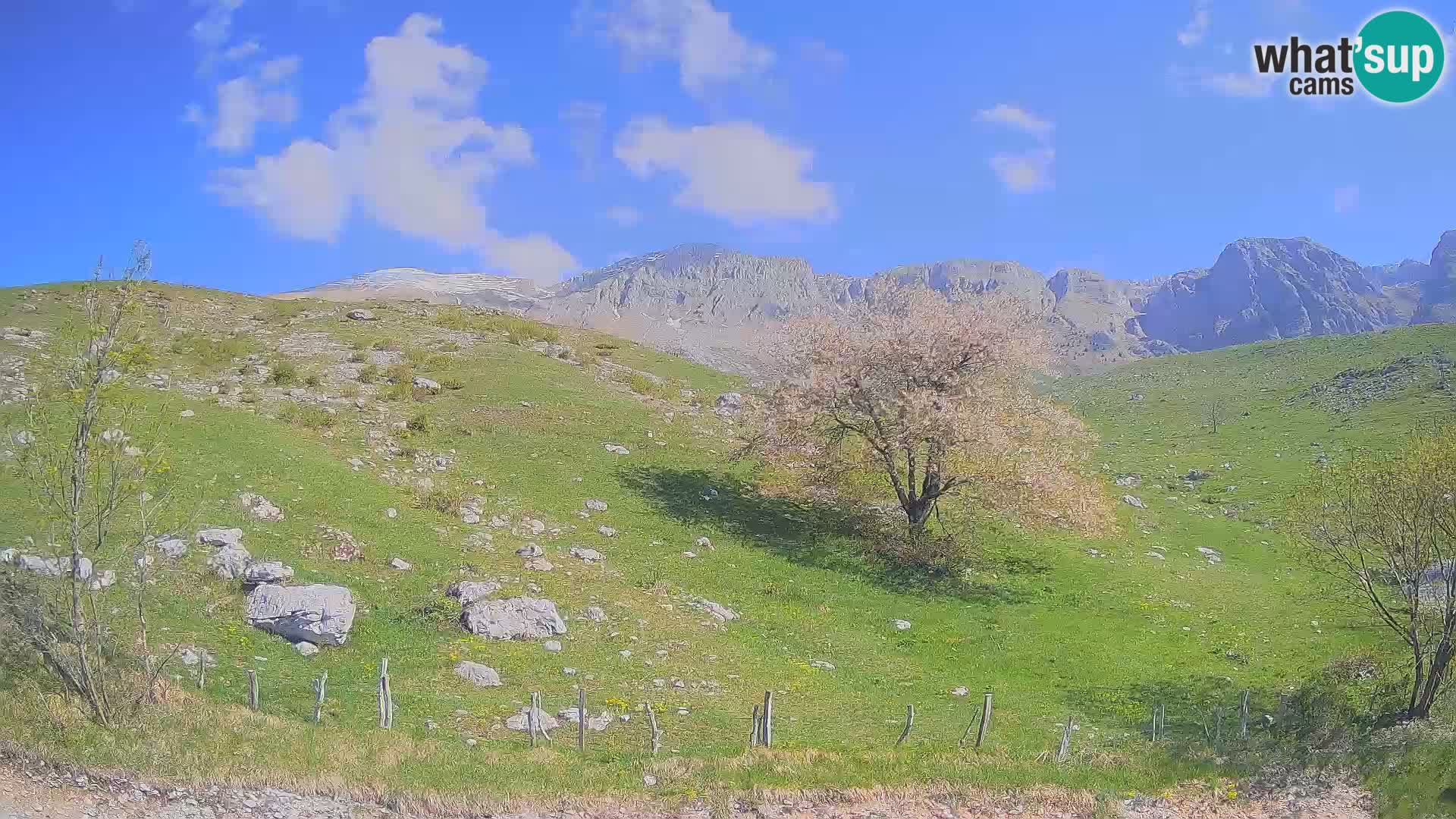 Livecam Planina Kuhinja – KRN- Kobarid – Slovénie