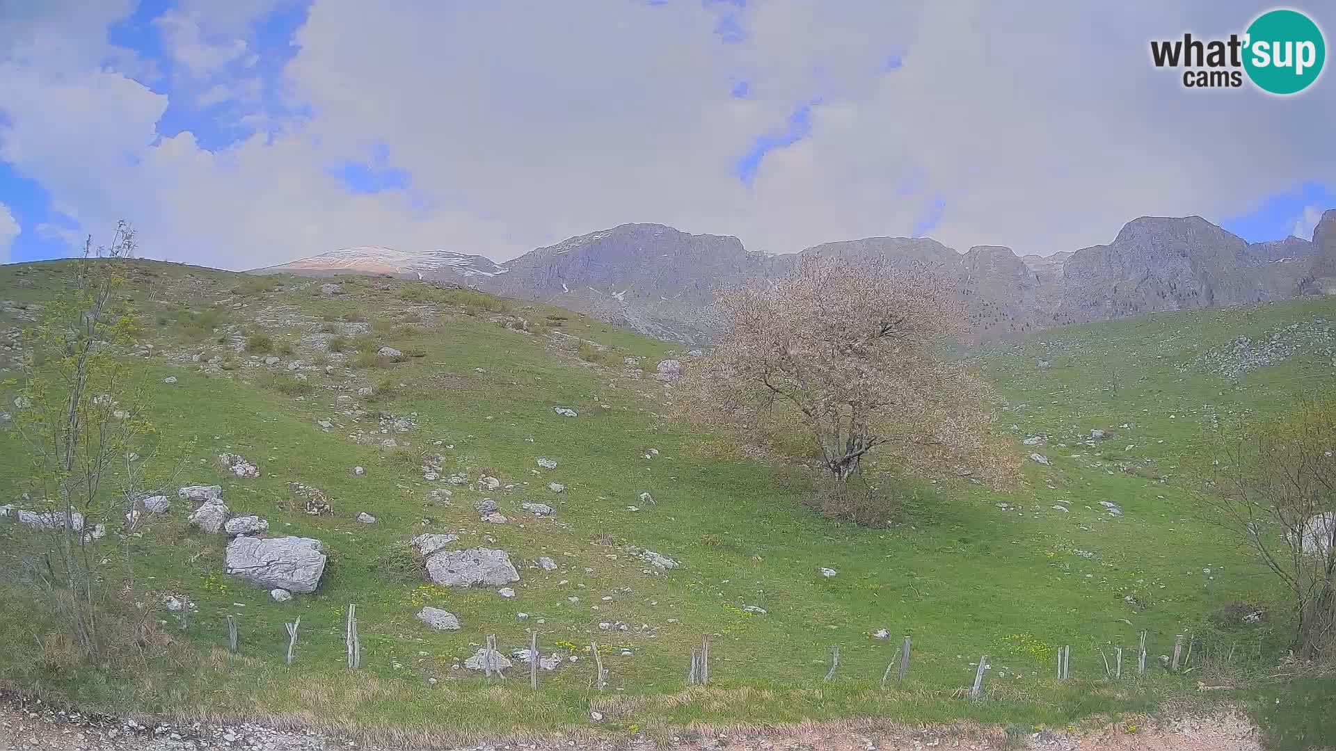Spletna kamera Planina Kuhinja – KRN – Kobarid