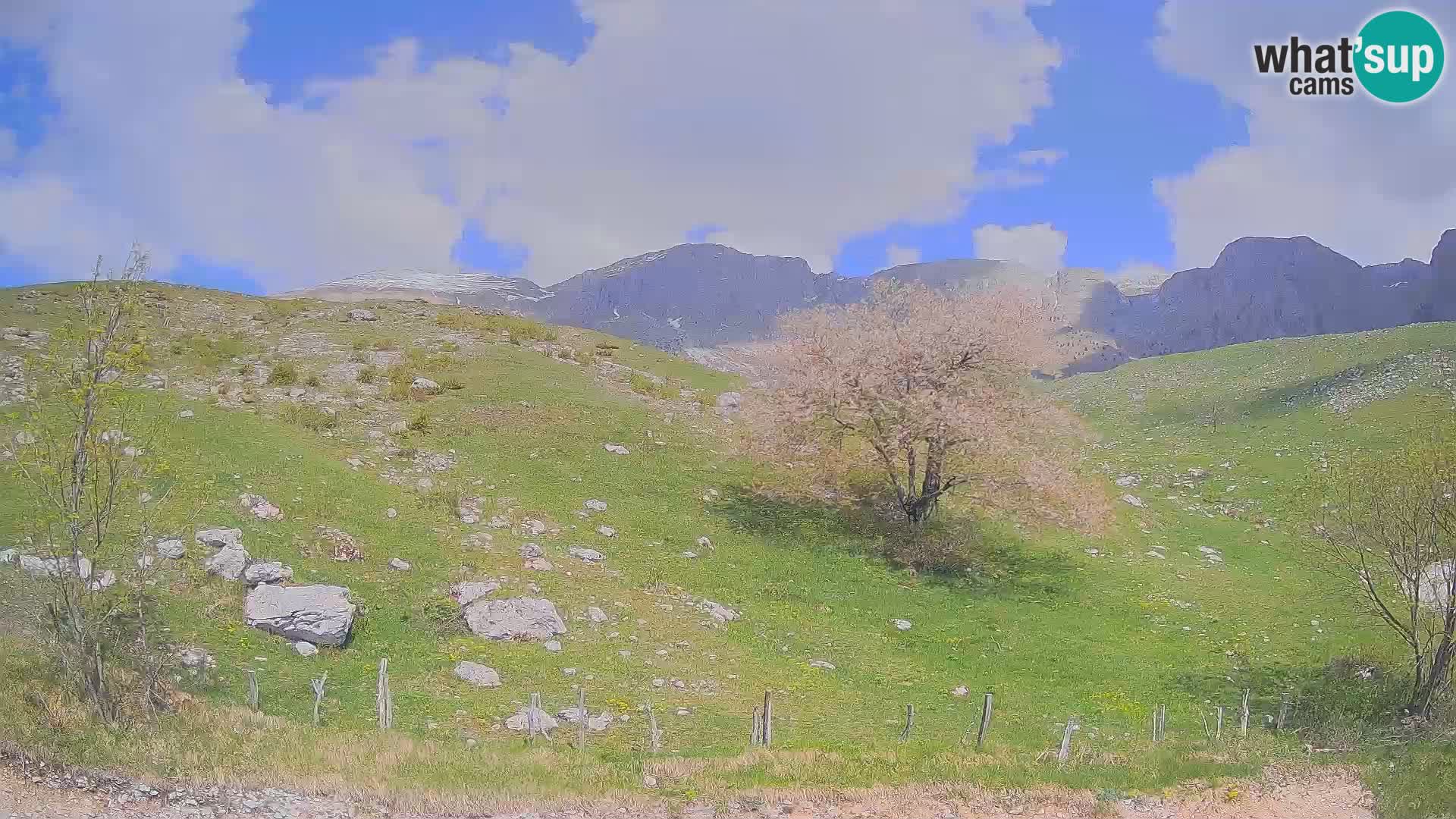 Webcam Krn – Planina Kuhinja ( Plateau Kuhinja ) – Kobarid – Slovenia