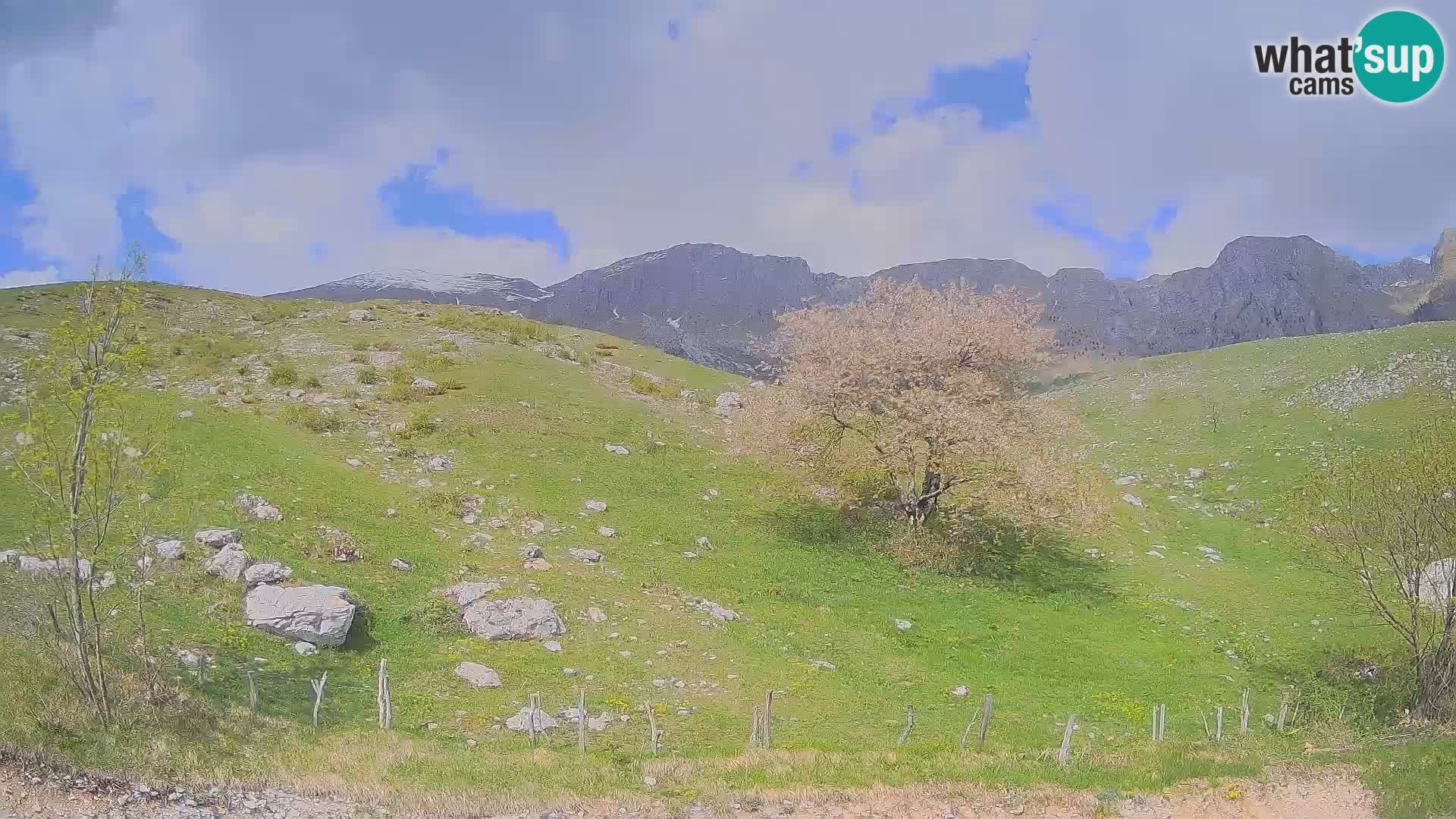 Spletna kamera Planina Kuhinja – KRN – Kobarid