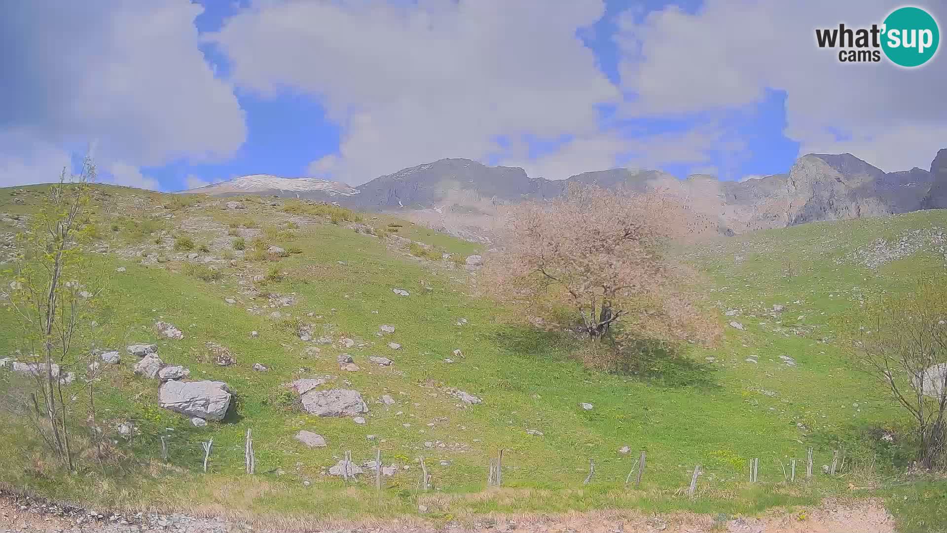 Webcam Krn – Planina Kuhinja ( Plateau Kuhinja ) – Kobarid – Slovenia