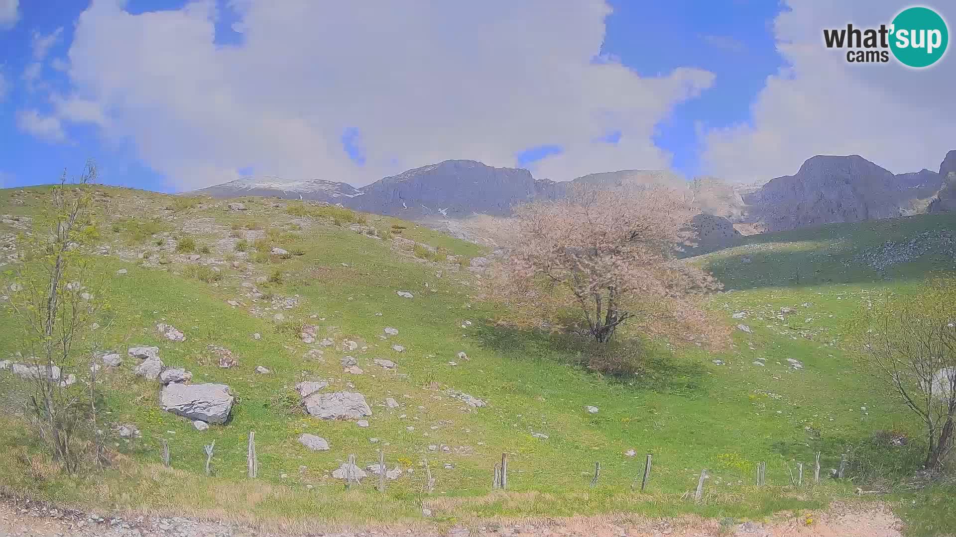 Spletna kamera Planina Kuhinja – KRN – Kobarid