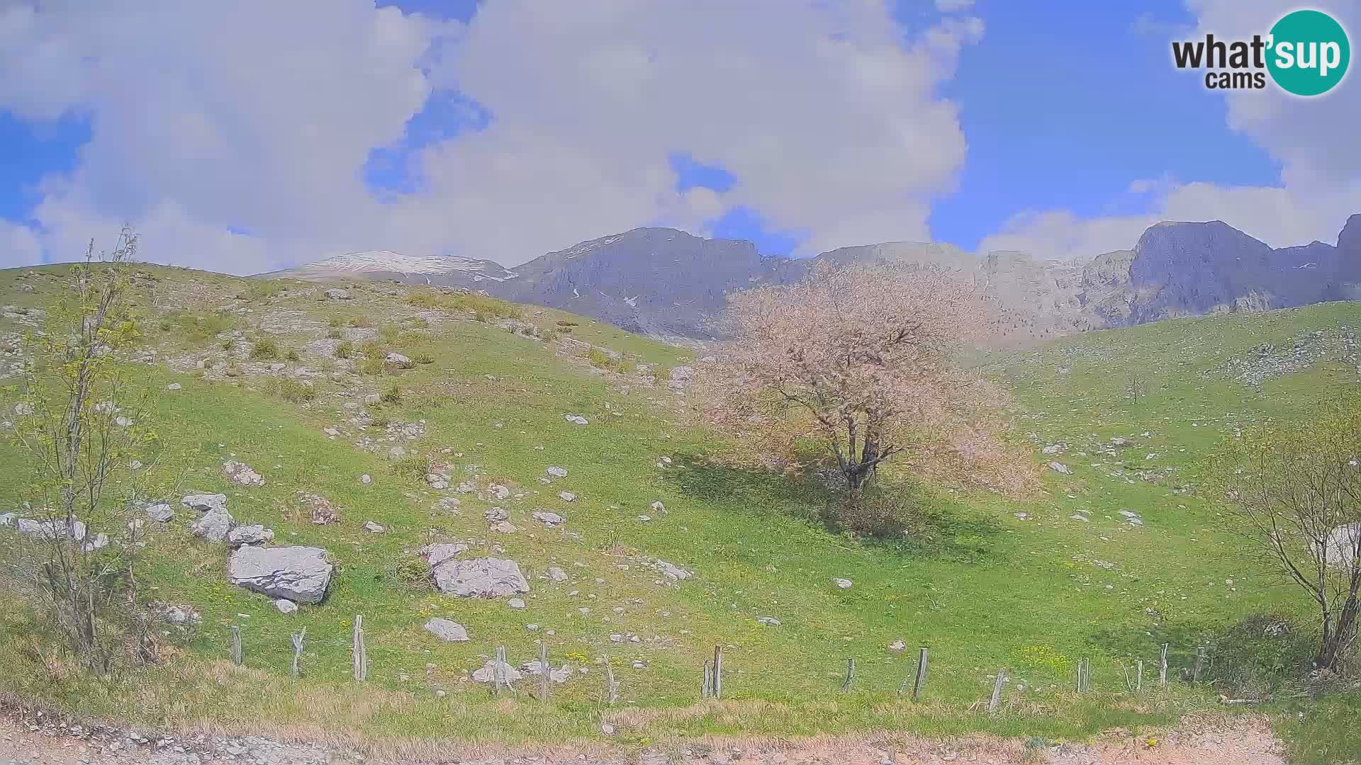 Cámara en Vivo de Planina Kuhinja – KRN – Kobarid – Eslovenia