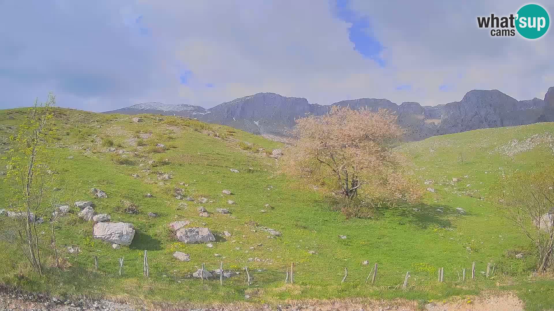 Livecam Planina Kuhinja – KRN- Kobarid – Slovénie