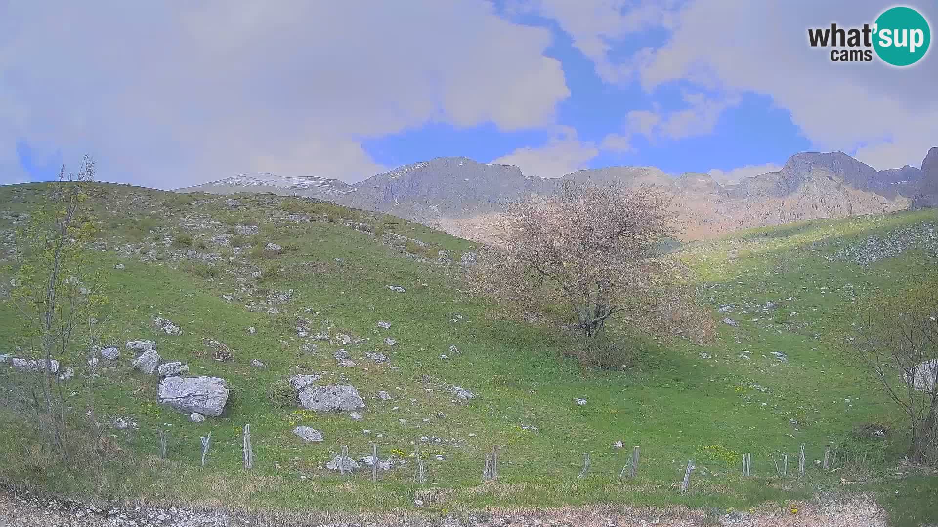 Cámara en Vivo de Planina Kuhinja – KRN – Kobarid – Eslovenia