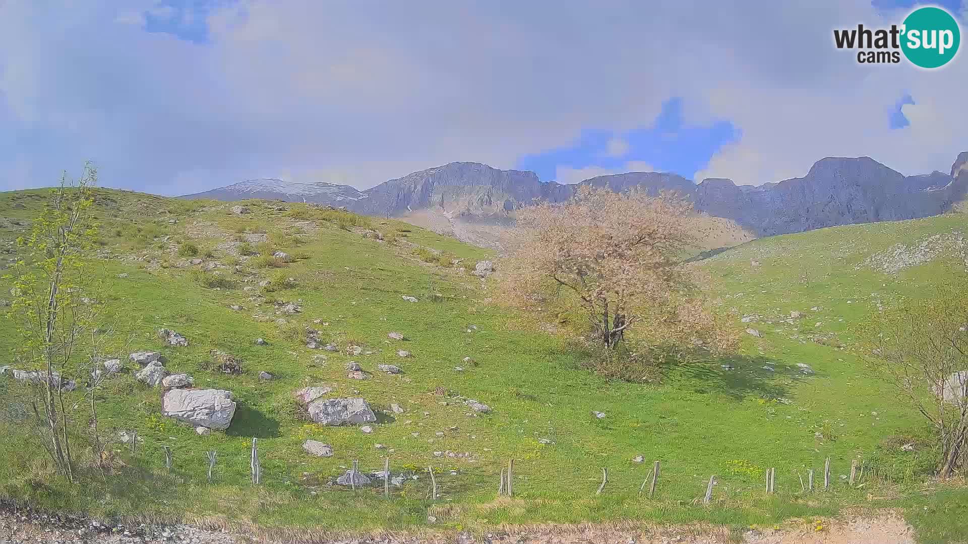 Cámara en Vivo de Planina Kuhinja – KRN – Kobarid – Eslovenia