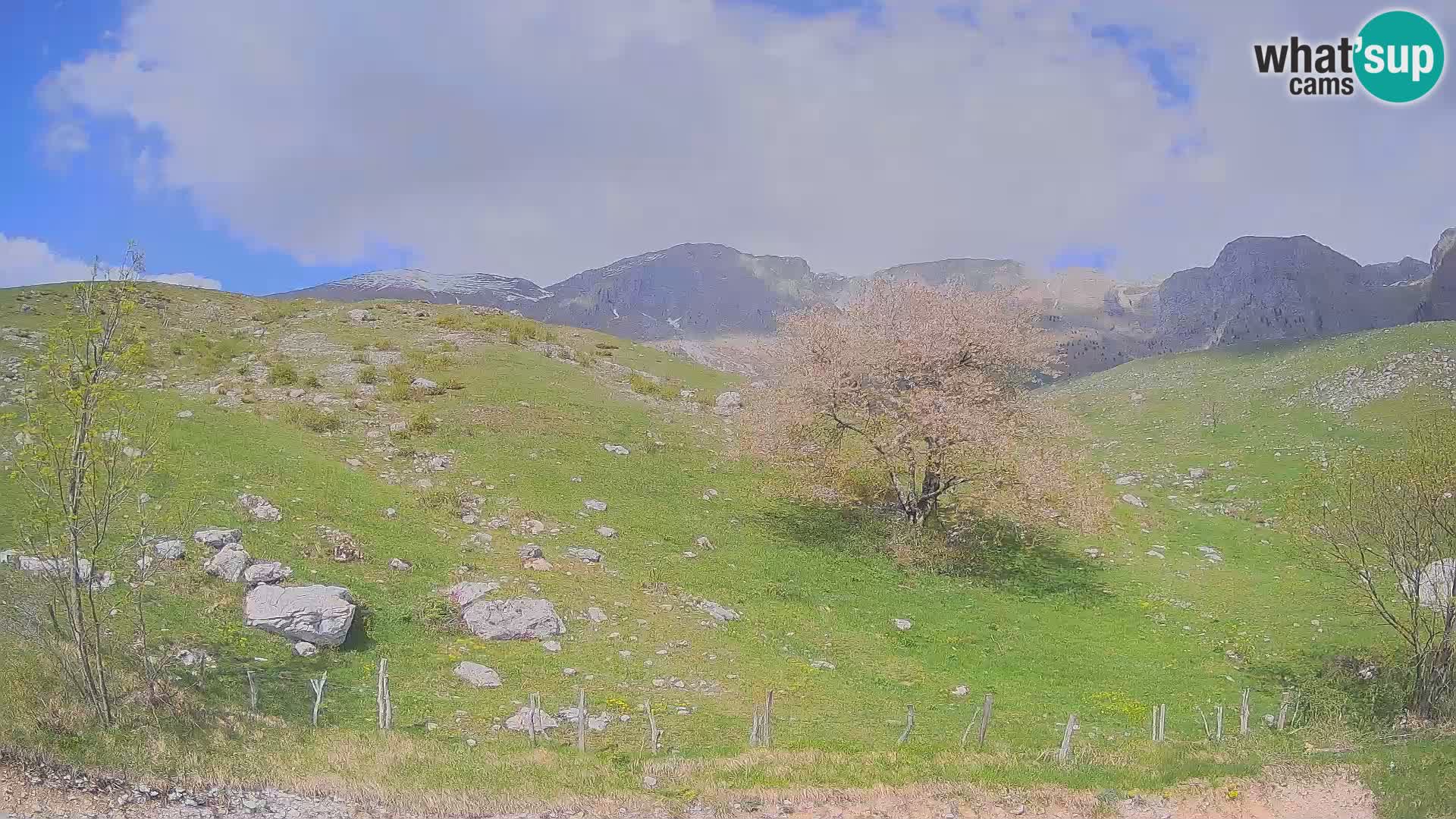 Live cam Planina Kuhinja – Monte Nero ( Krn ) – Caporetto – Slovenia