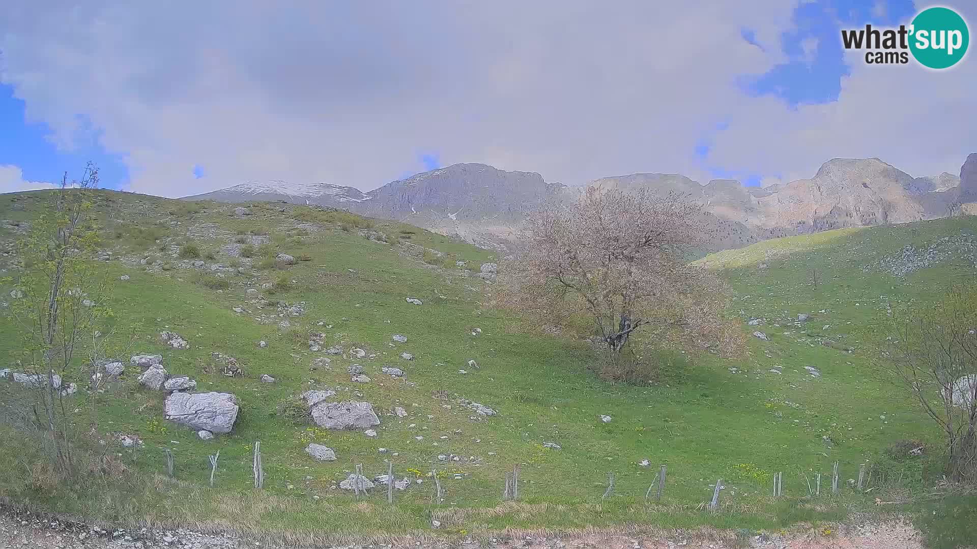 Cámara en Vivo de Planina Kuhinja – KRN – Kobarid – Eslovenia