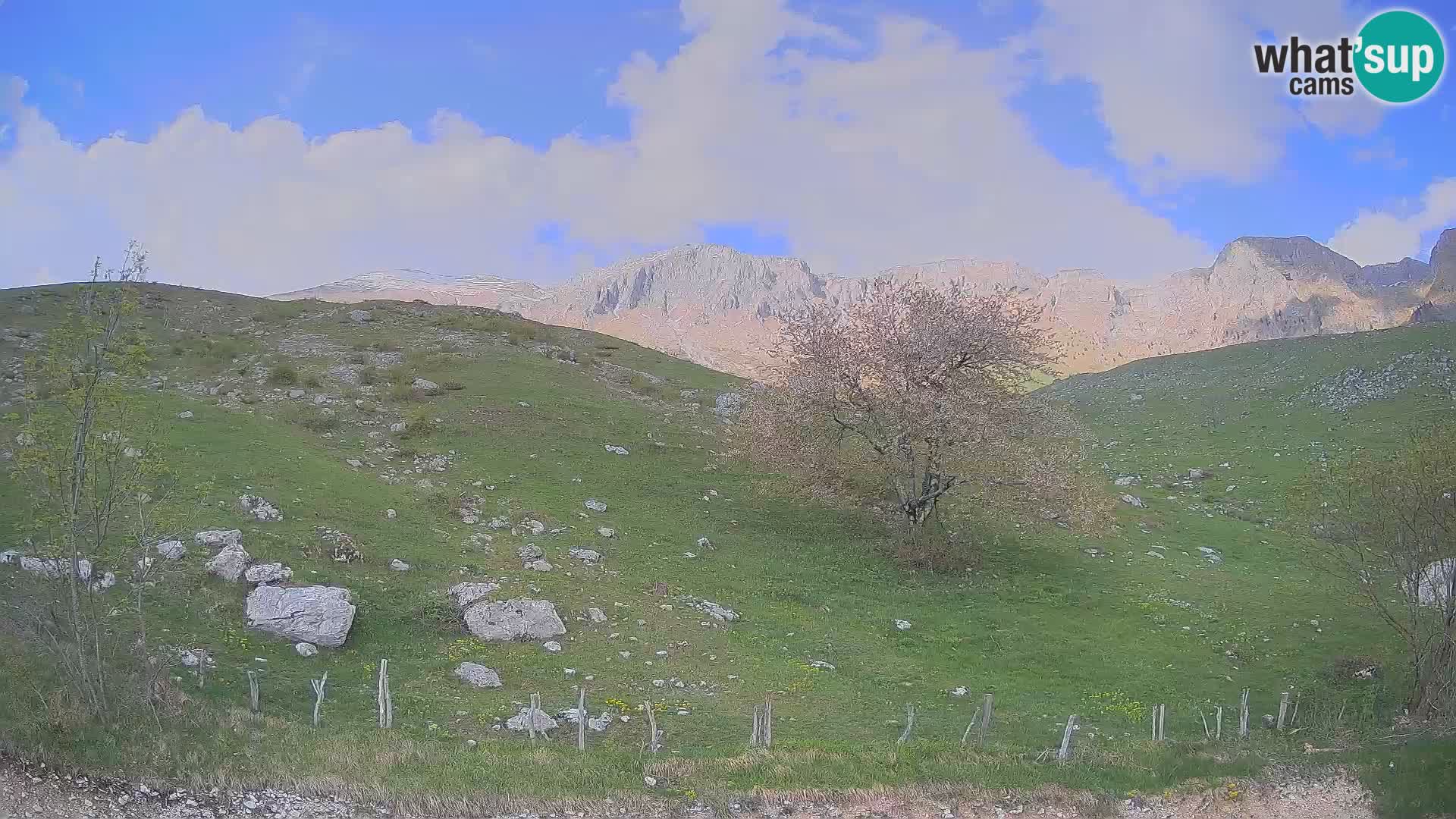 Spletna kamera Planina Kuhinja – KRN – Kobarid