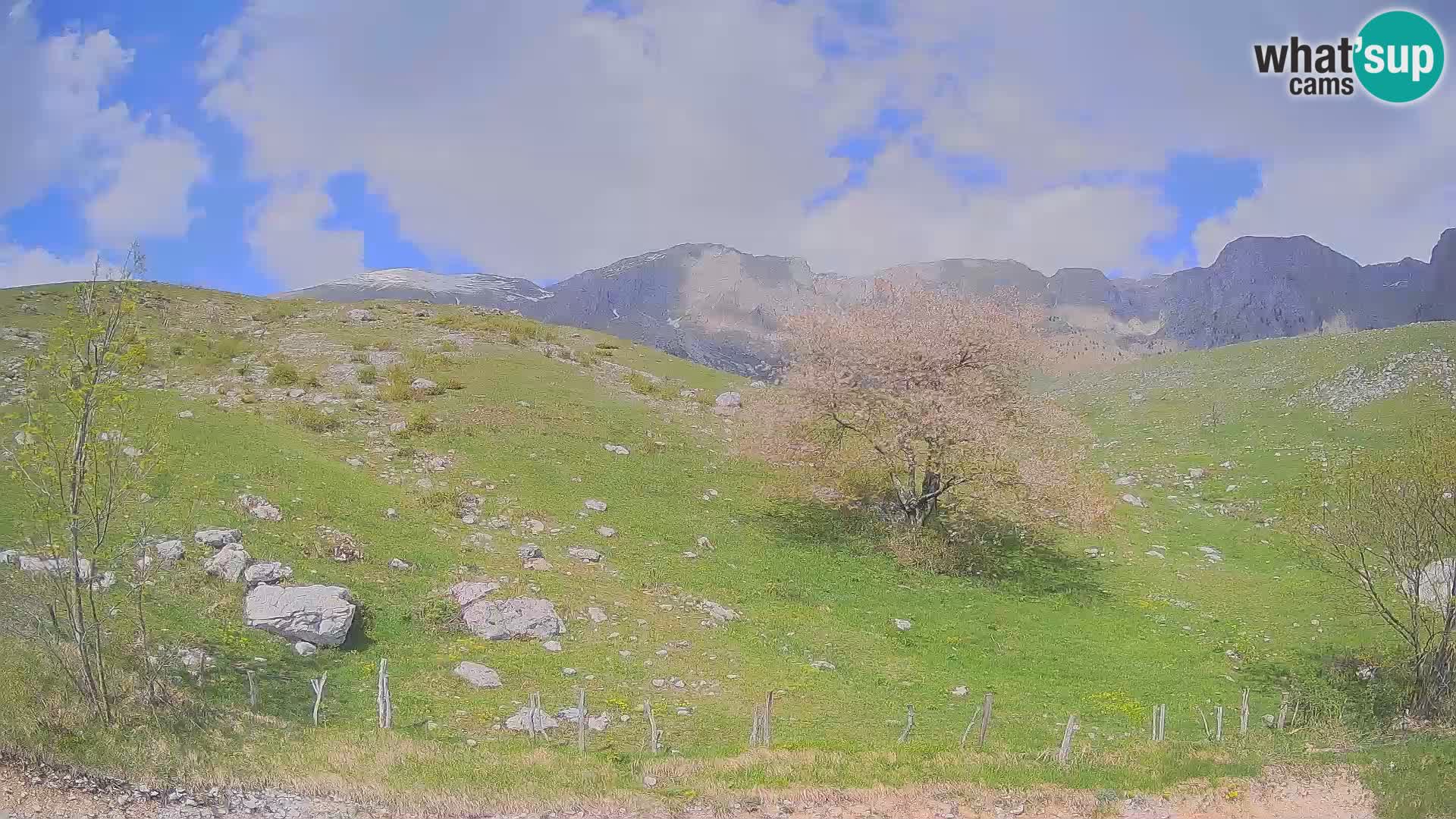 Spletna kamera Planina Kuhinja – KRN – Kobarid