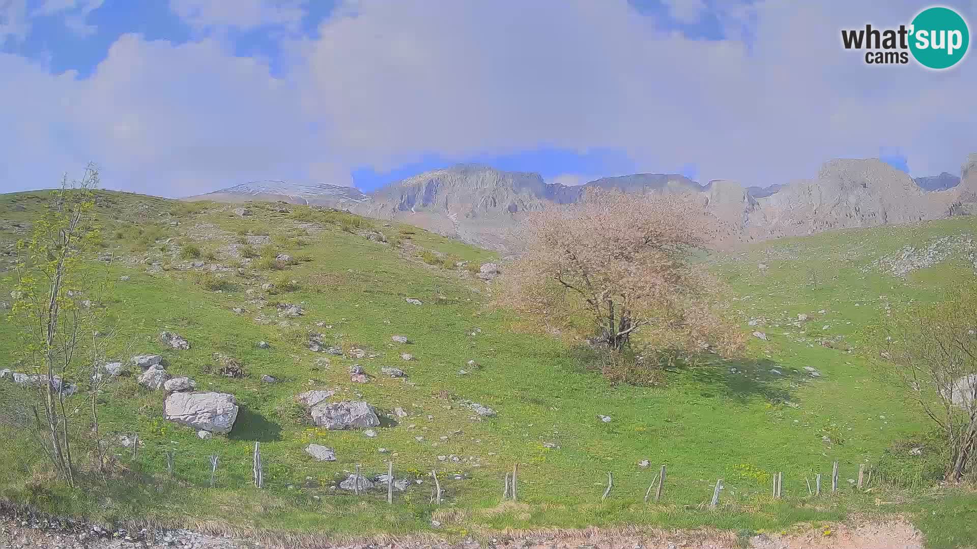 Web kamera Planina Kuhinja – KRN – Kobarid – Slovenija