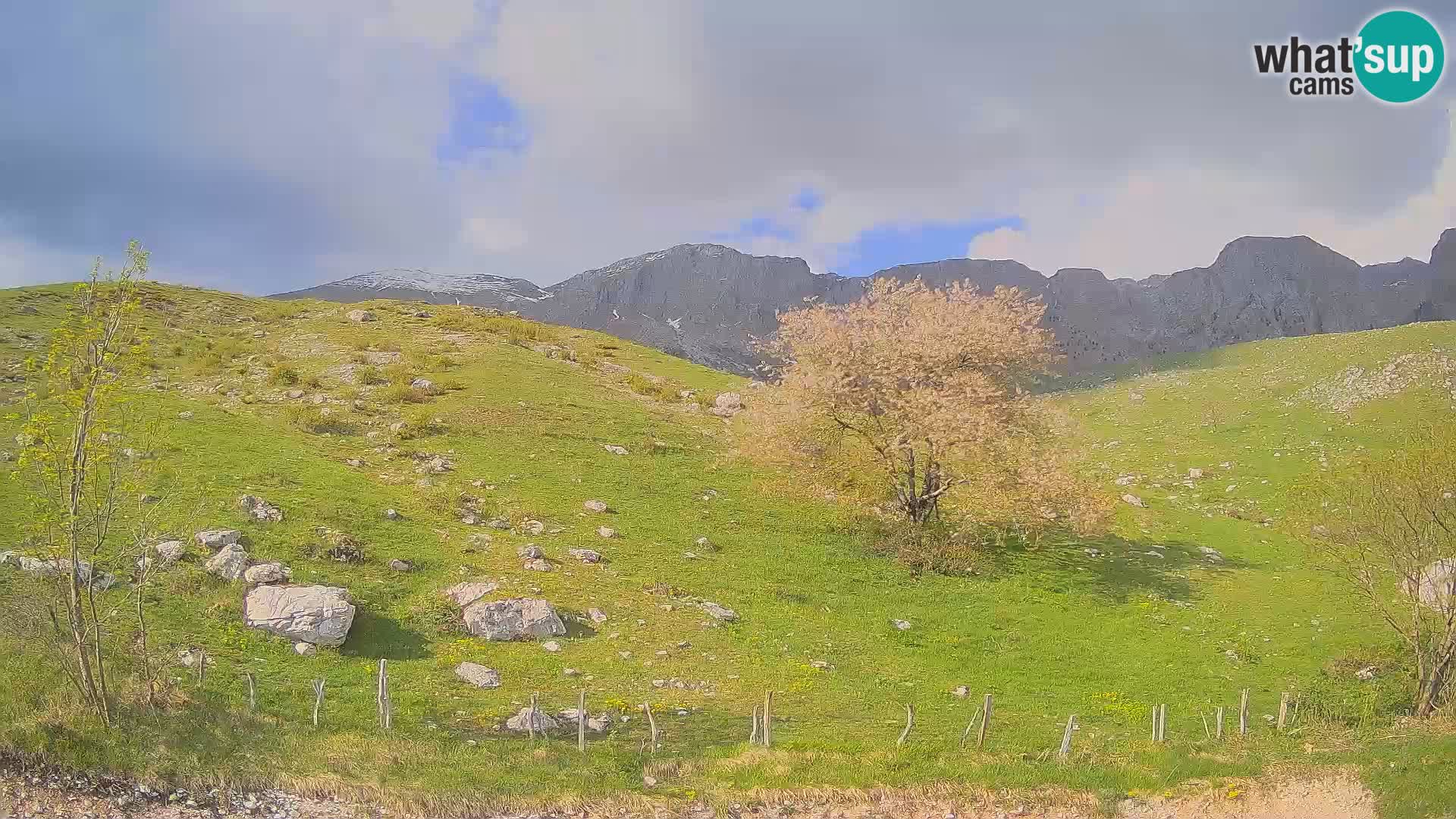 Cámara en Vivo de Planina Kuhinja – KRN – Kobarid – Eslovenia