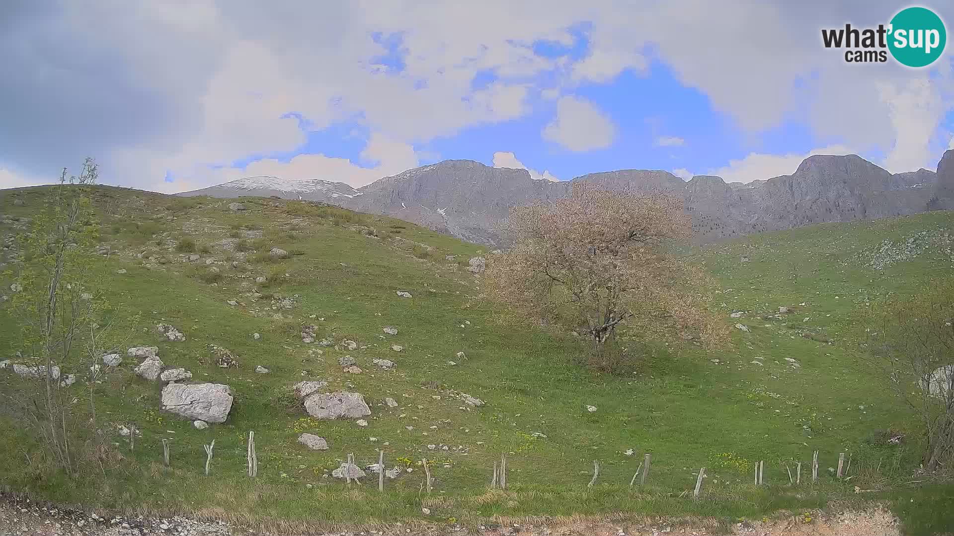 Cámara en Vivo de Planina Kuhinja – KRN – Kobarid – Eslovenia
