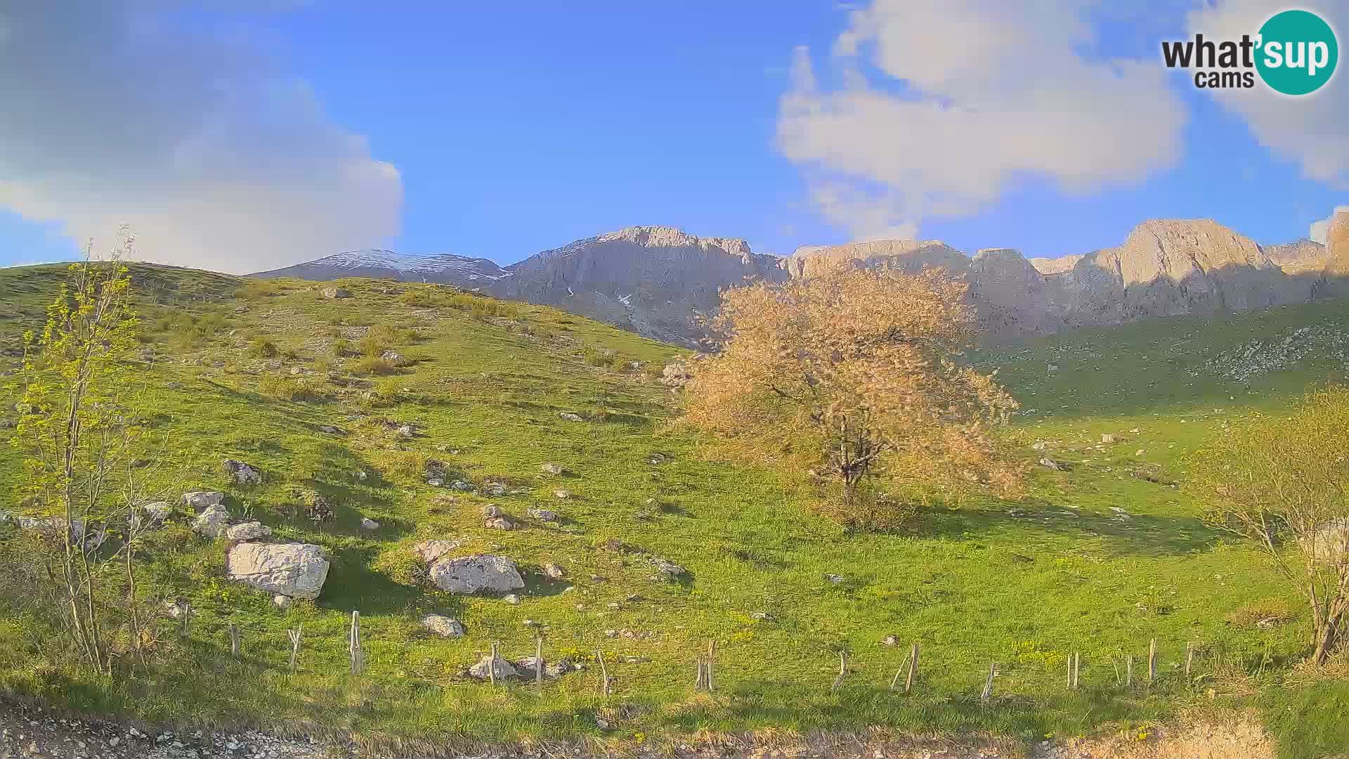 Cámara en Vivo de Planina Kuhinja – KRN – Kobarid – Eslovenia