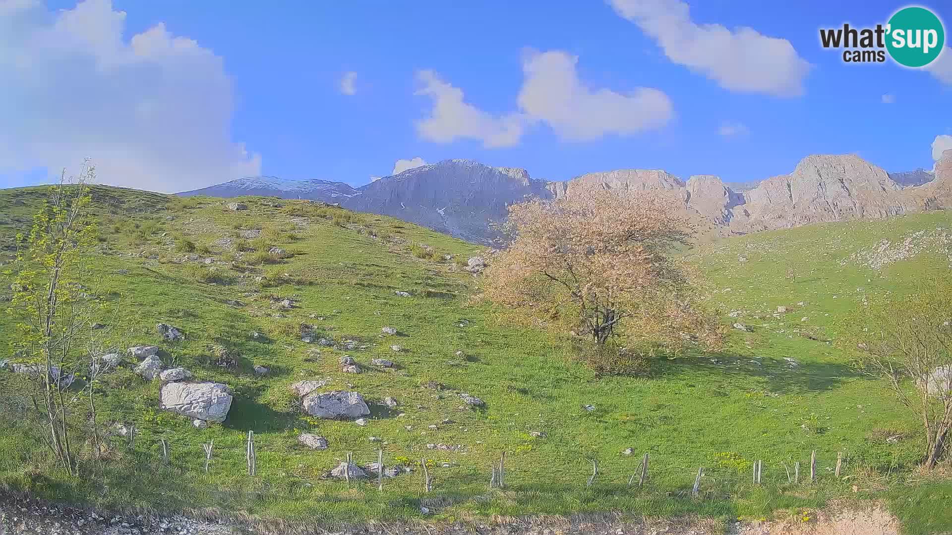 Web kamera Planina Kuhinja – KRN – Kobarid – Slovenija