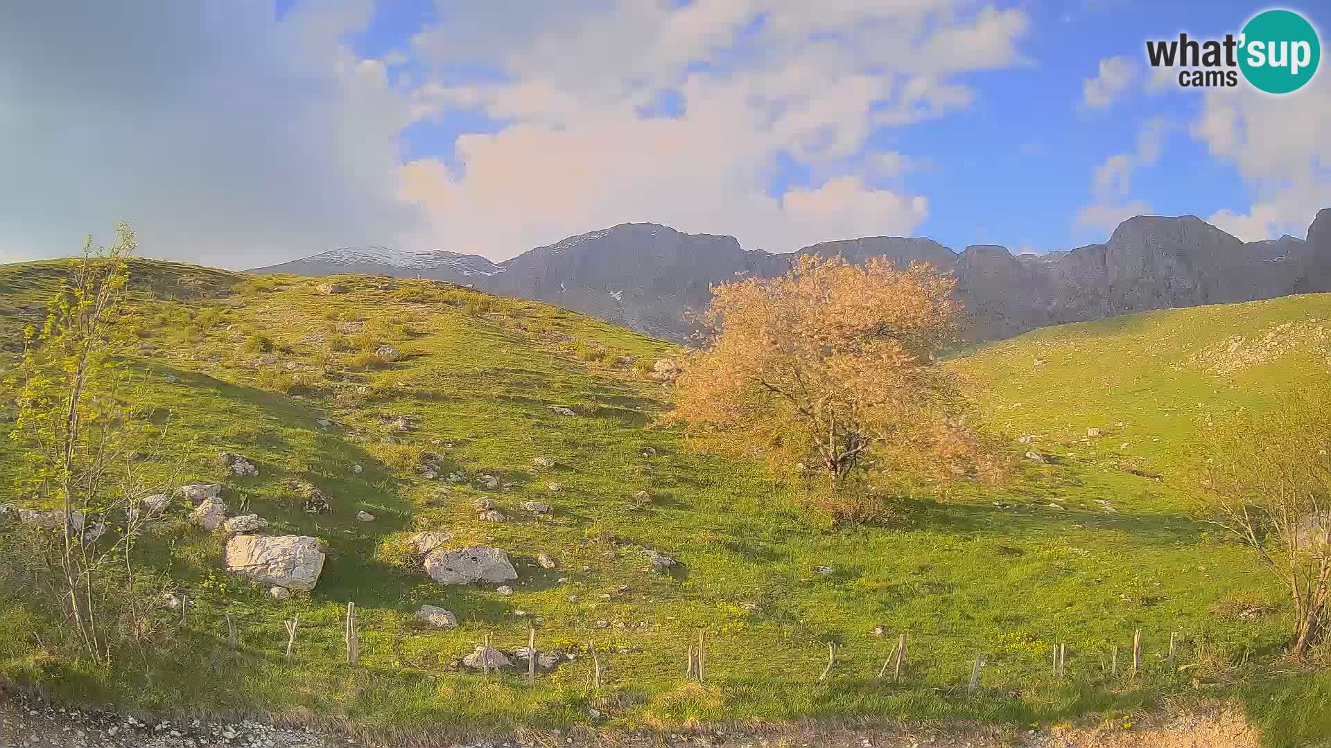 Livecam Planina Kuhinja – KRN- Kobarid – Slovénie