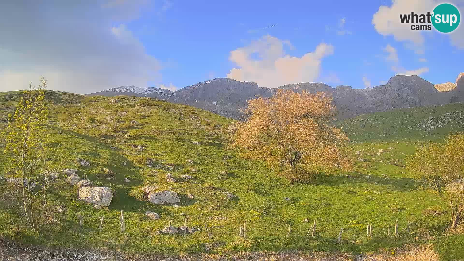 Cámara en Vivo de Planina Kuhinja – KRN – Kobarid – Eslovenia
