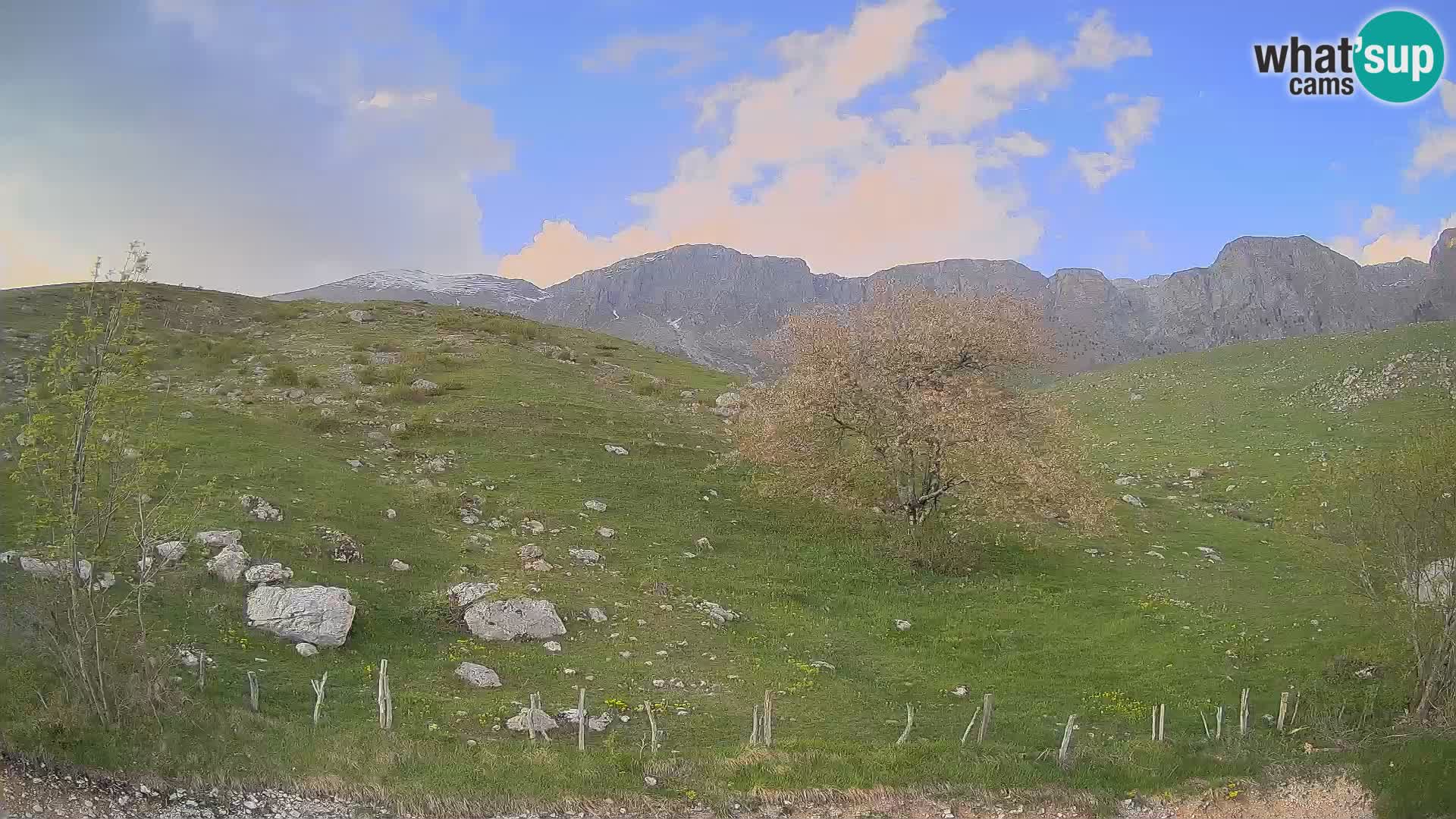 Live cam Planina Kuhinja – Monte Nero ( Krn ) – Caporetto – Slovenia