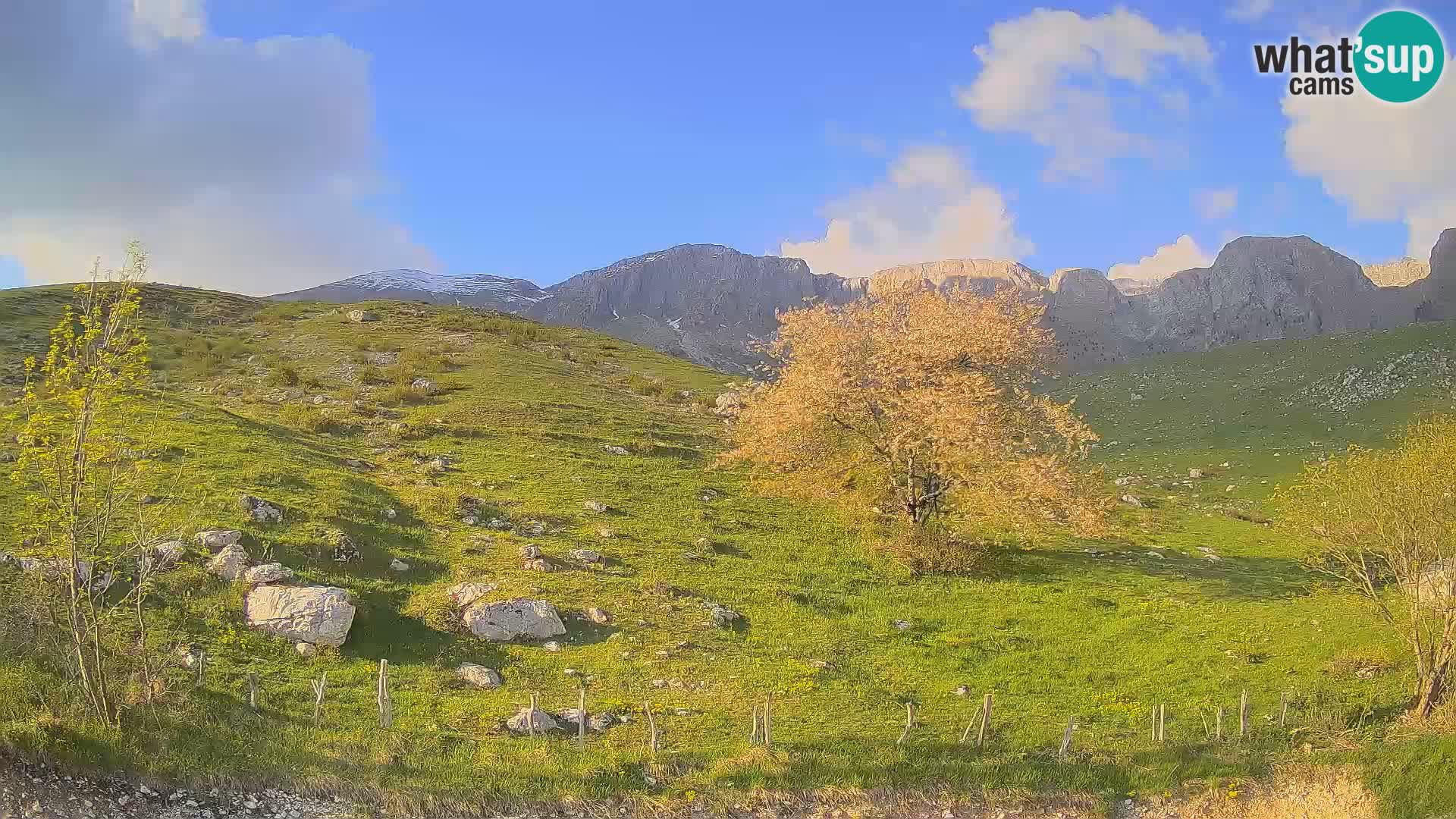 Spletna kamera Planina Kuhinja – KRN – Kobarid