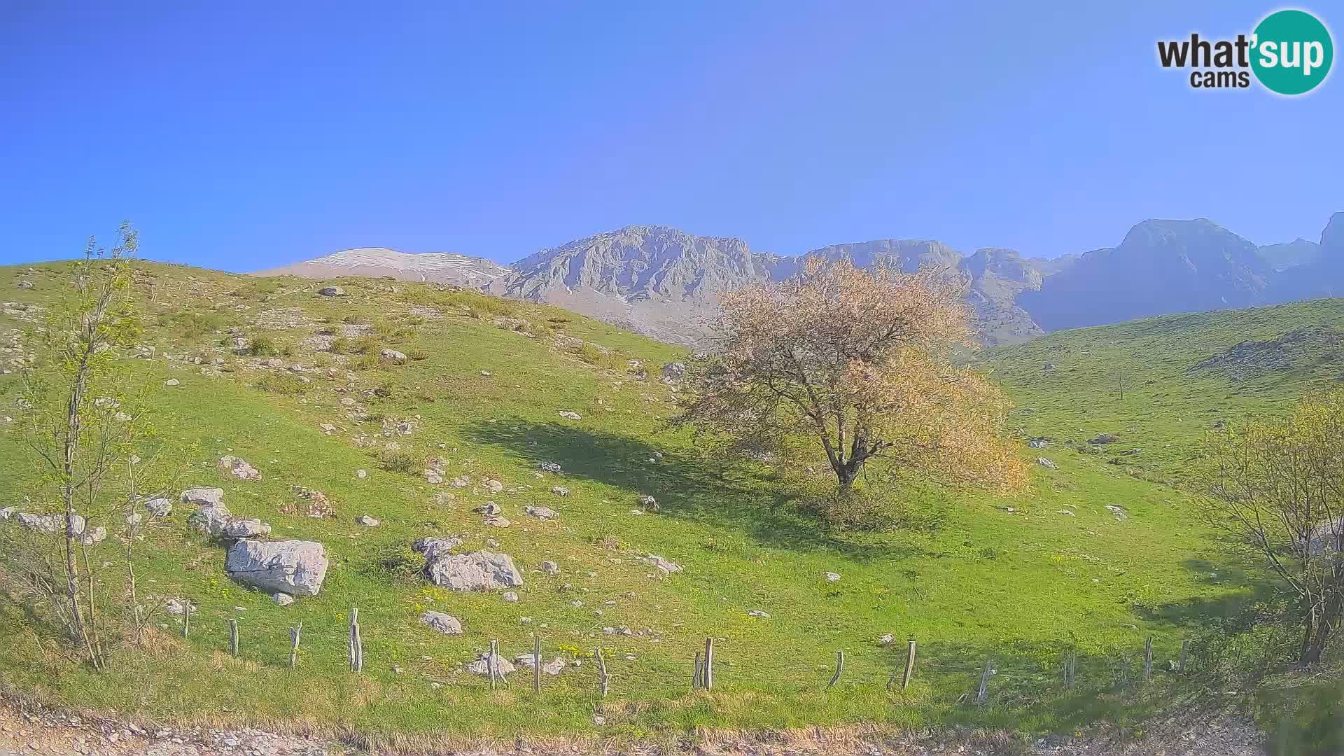 Cámara en Vivo de Planina Kuhinja – KRN – Kobarid – Eslovenia