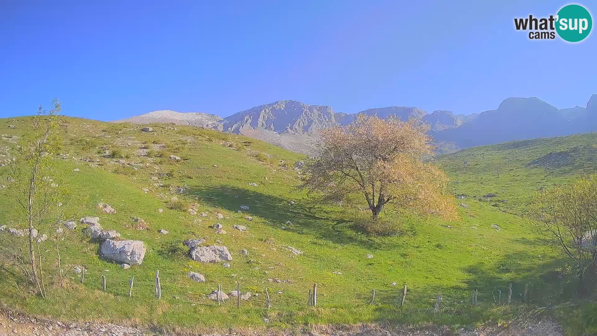 Cámara en Vivo de Planina Kuhinja – KRN – Kobarid – Eslovenia