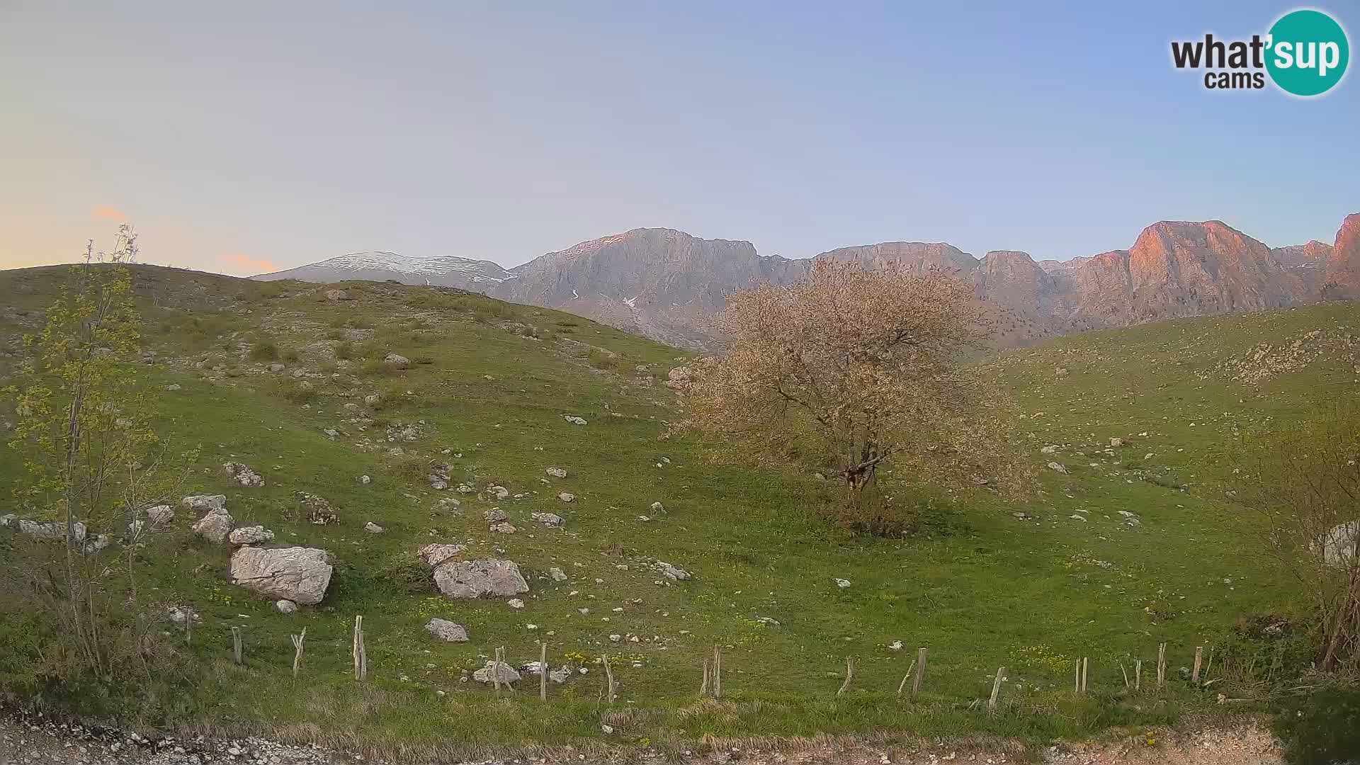 Cámara en Vivo de Planina Kuhinja – KRN – Kobarid – Eslovenia