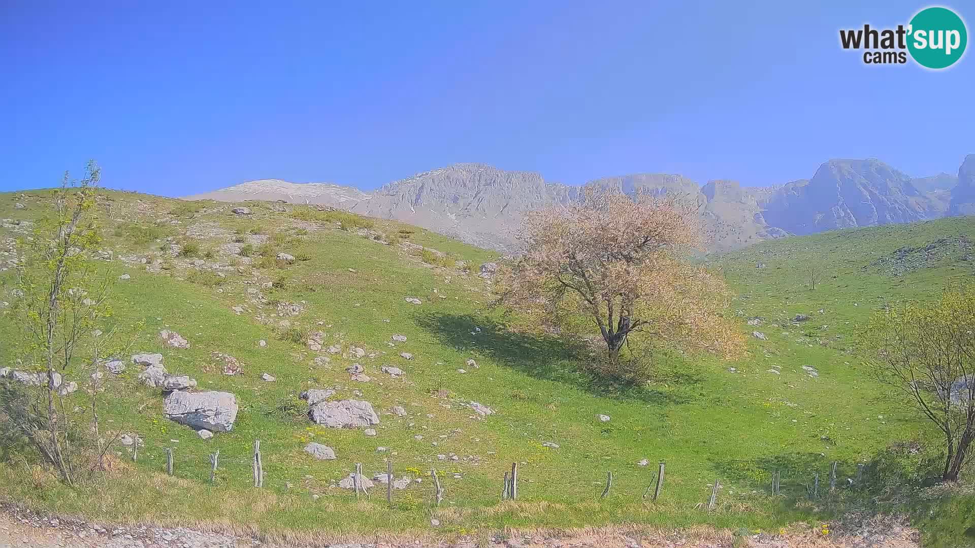 Webcam Planina Kuhinja – KRN – Kobarid – Slowenien