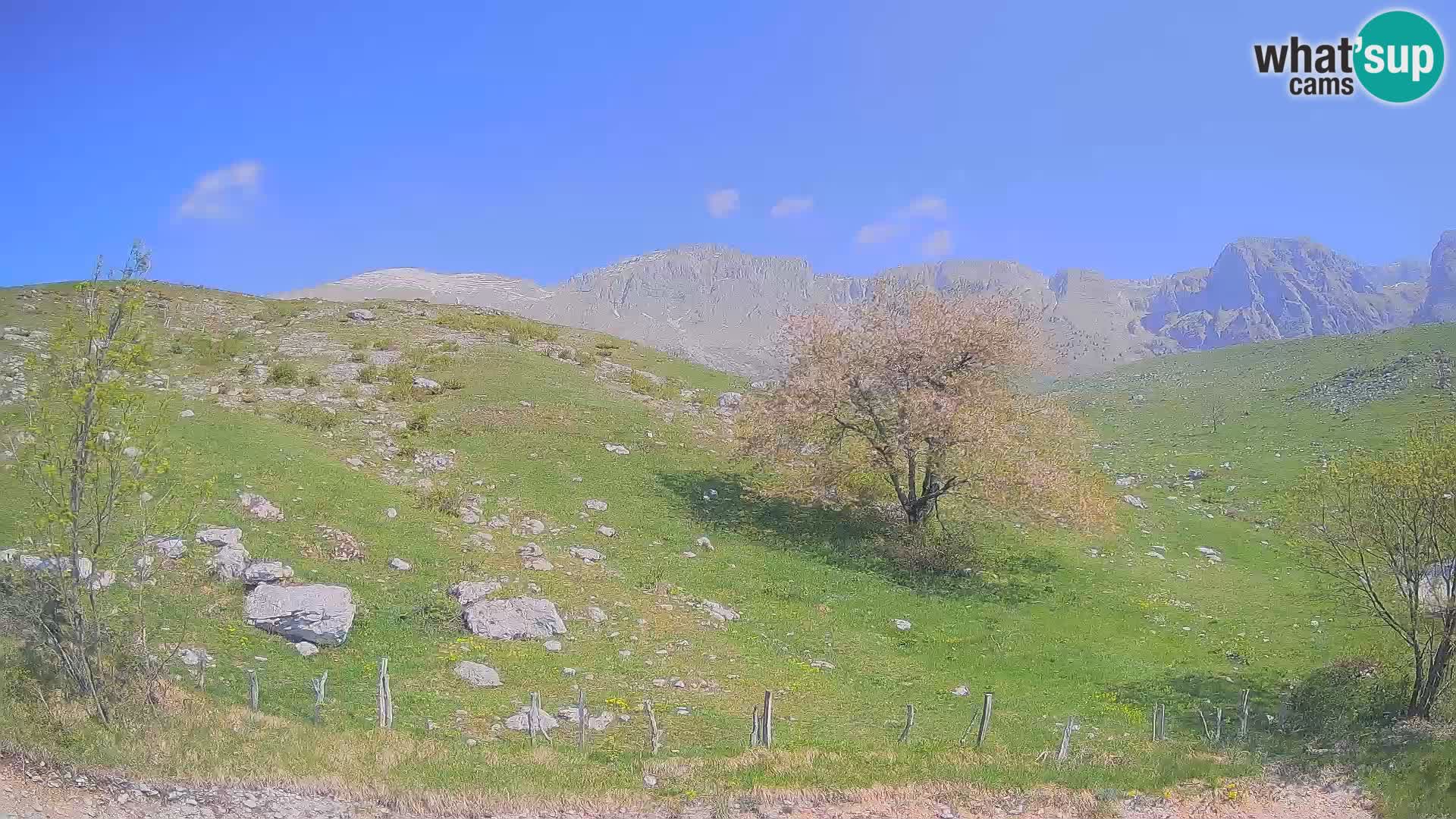 Web kamera Planina Kuhinja – KRN – Kobarid – Slovenija