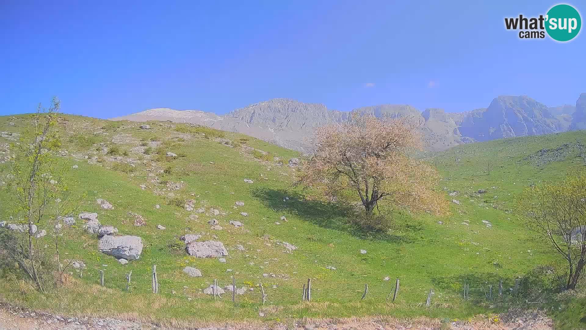 Webcam Krn – Planina Kuhinja ( Plateau Kuhinja ) – Kobarid – Slovenia