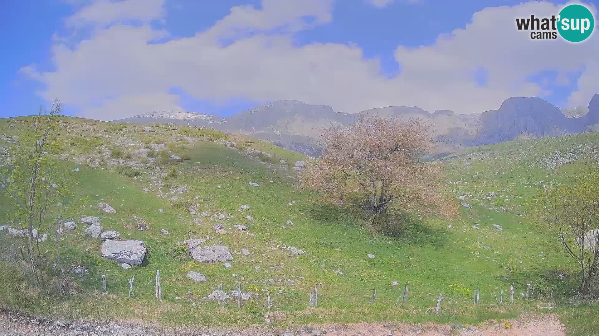 Webcam Planina Kuhinja – KRN – Kobarid – Slowenien